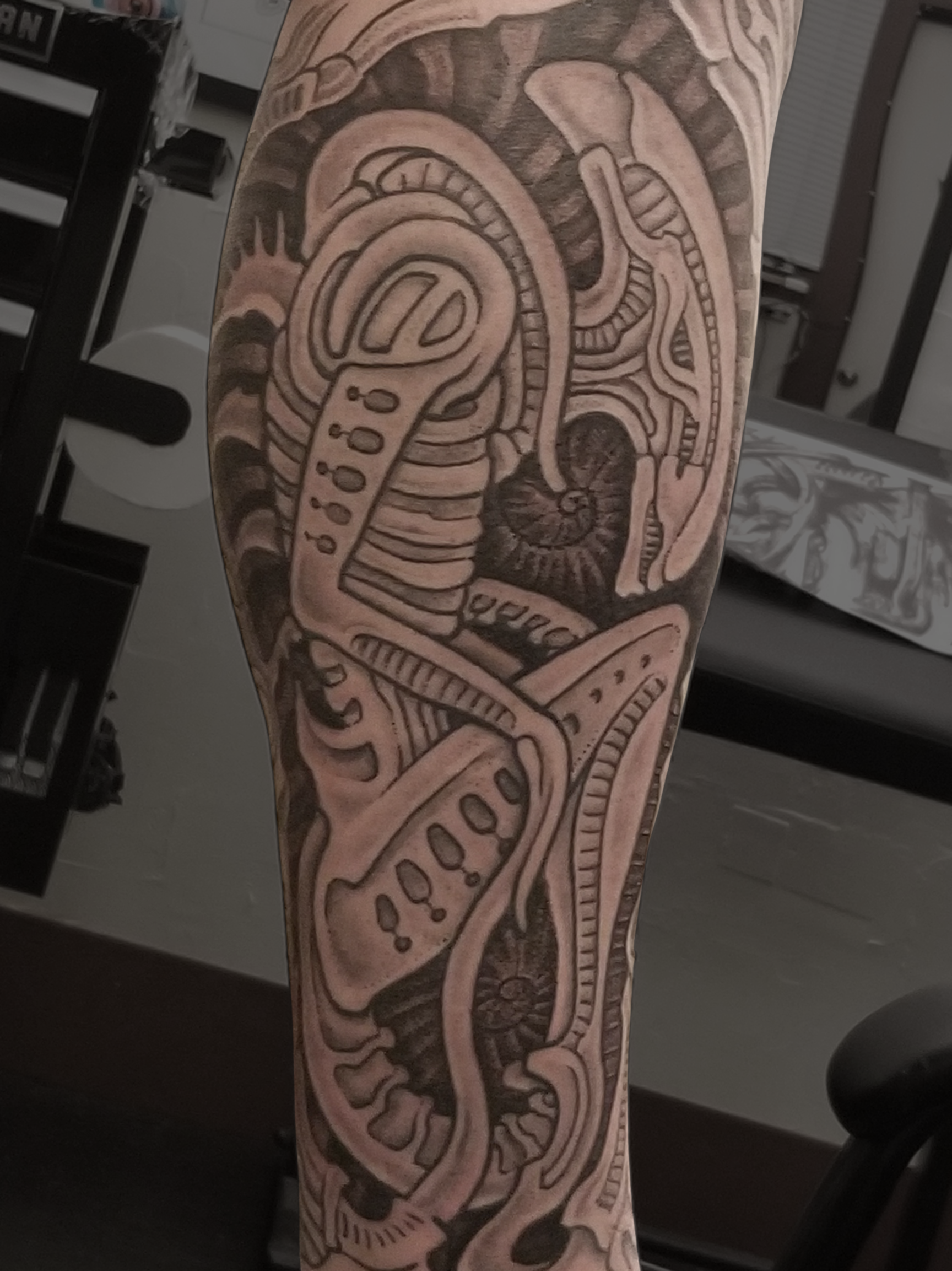 joel leg ectomorph copy.png