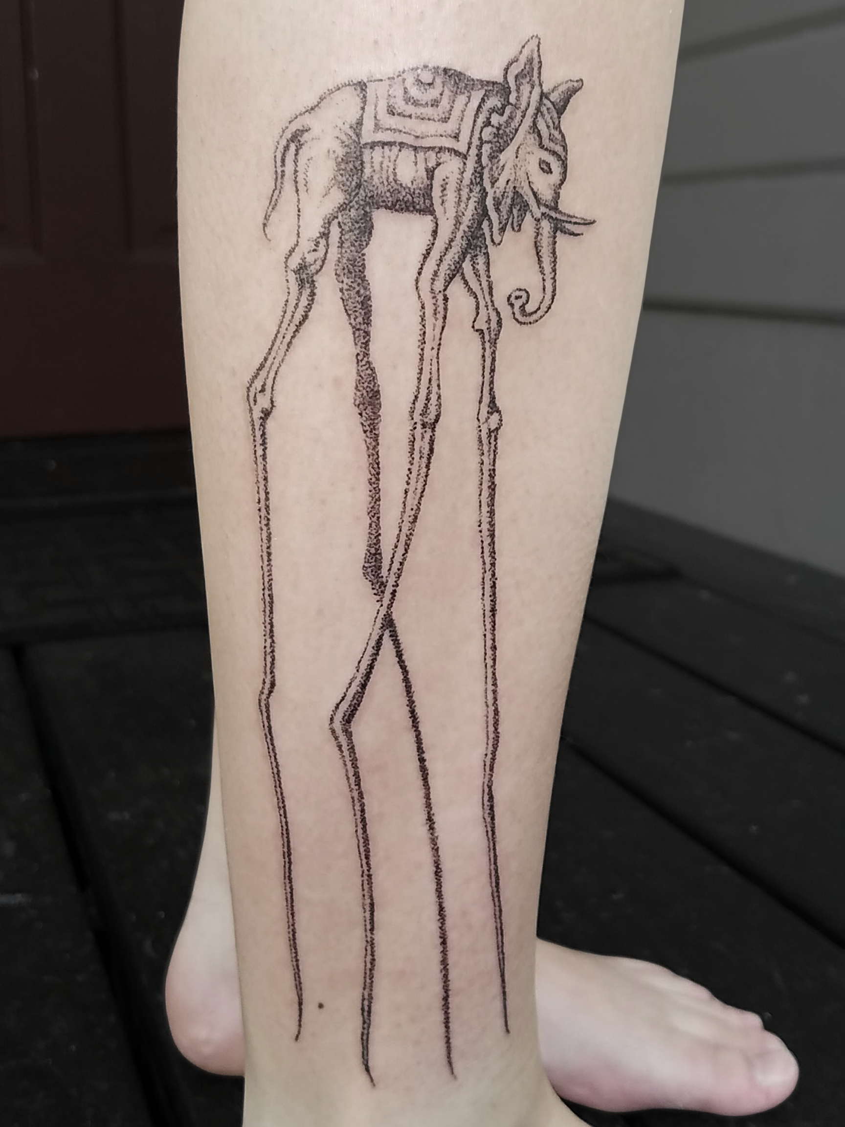 kayla leg daliphant copy.png