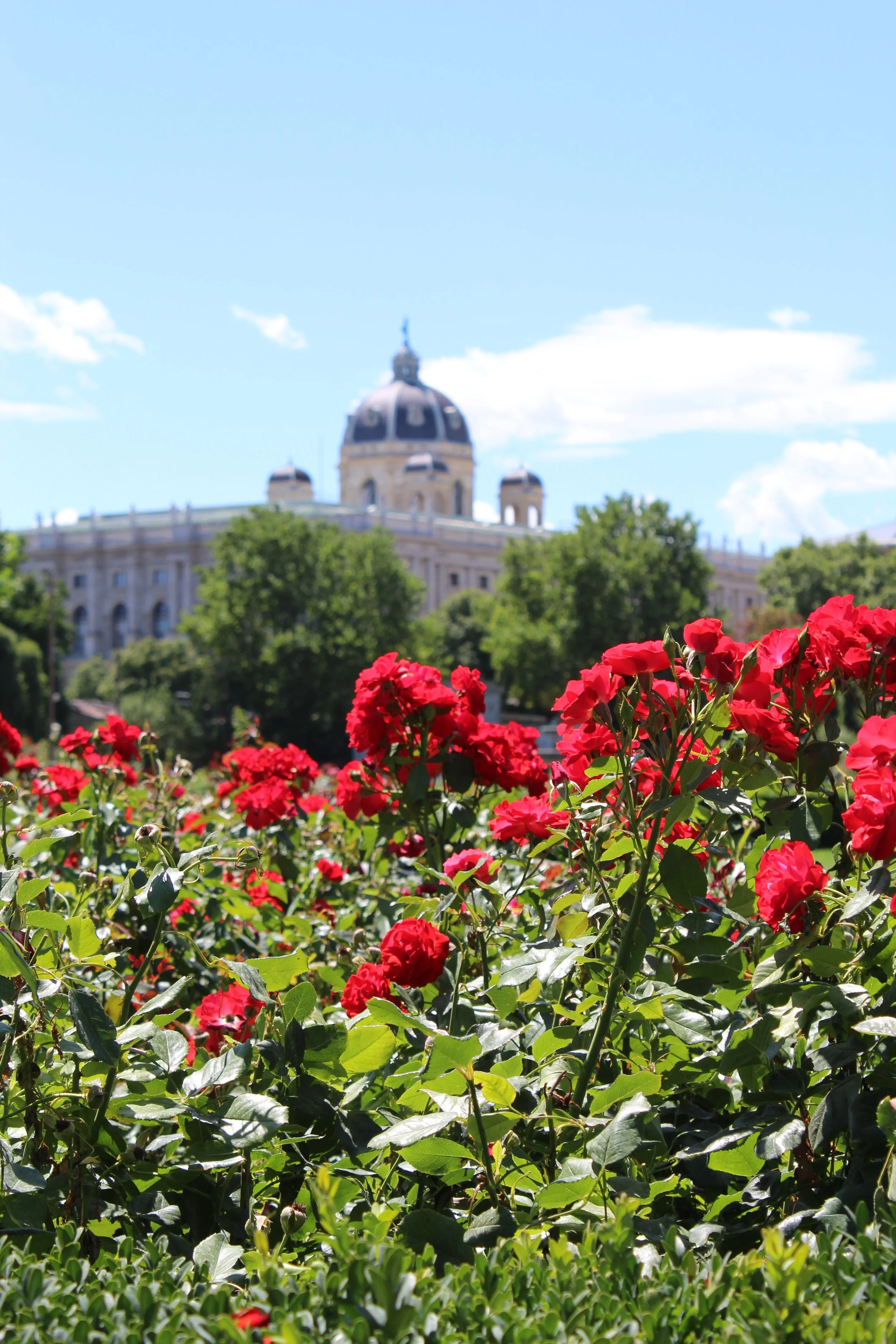 My Honest Opinion about Vienna