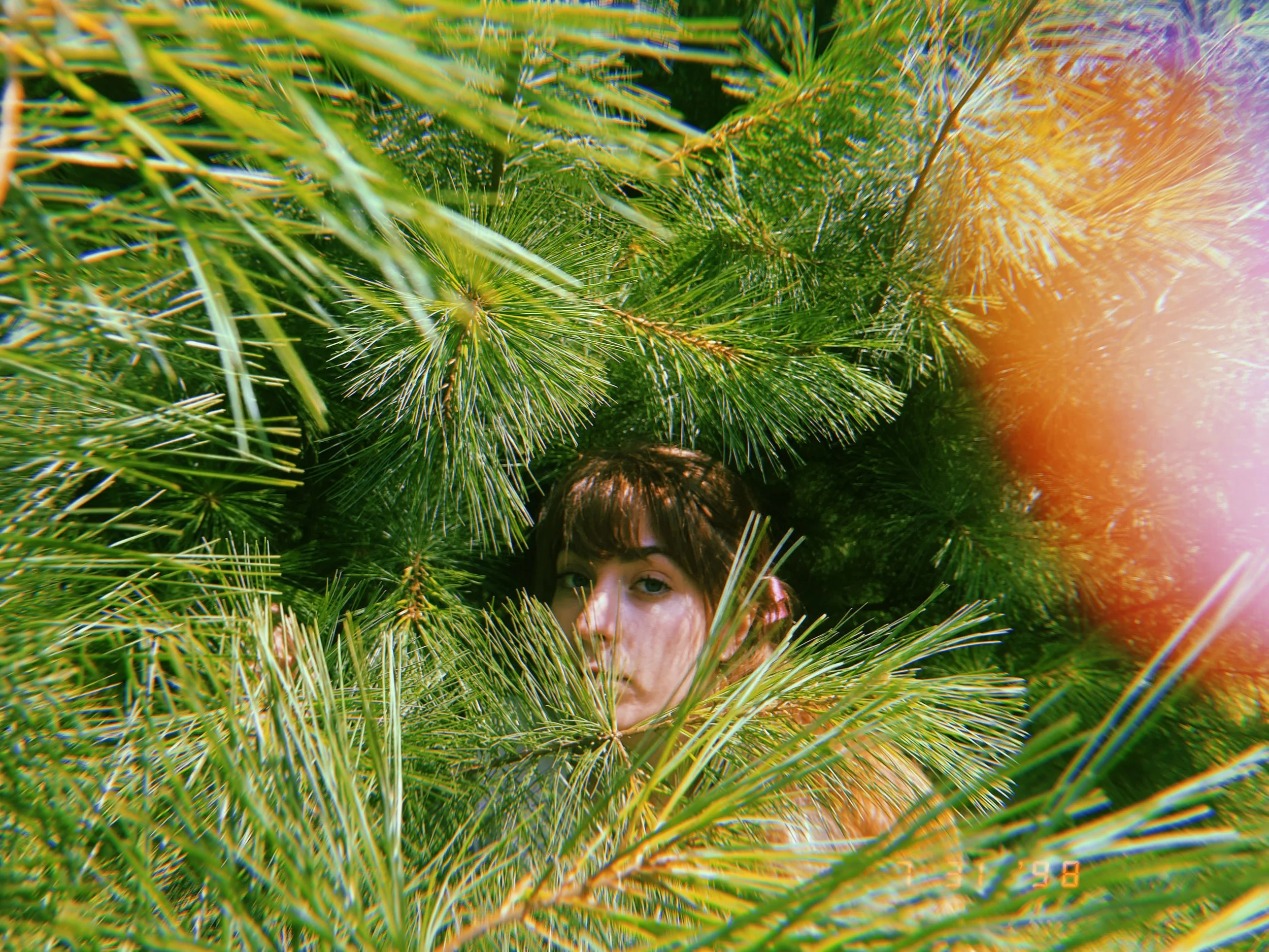 picture of heather immersed in  greenpine tree branches and pine needles