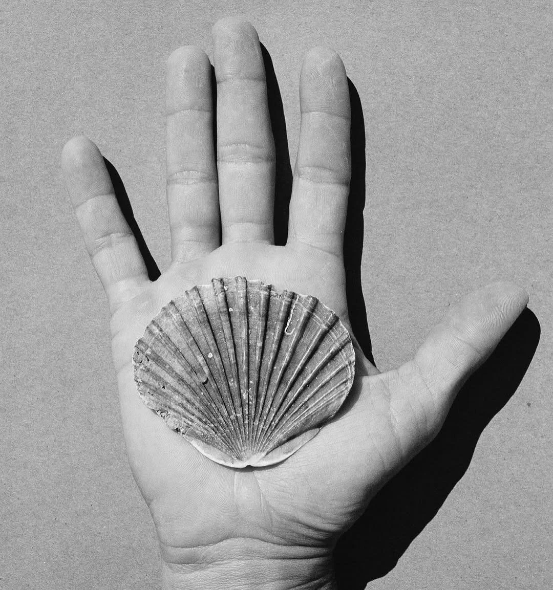 A hand with a scallop shell resting on the palm, in black and white.