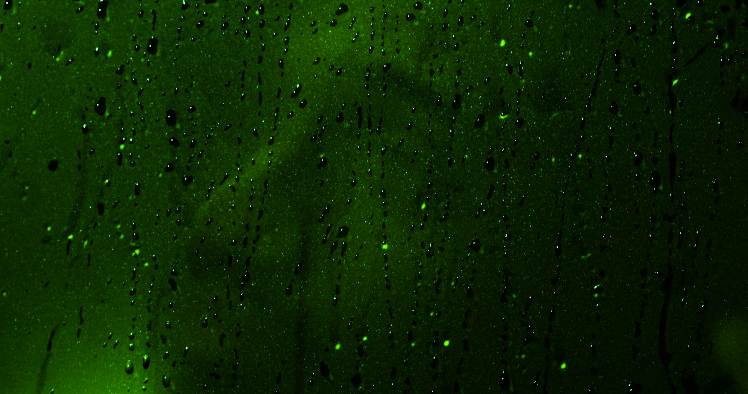 CC_Final.00_02_12_04.Still120.png