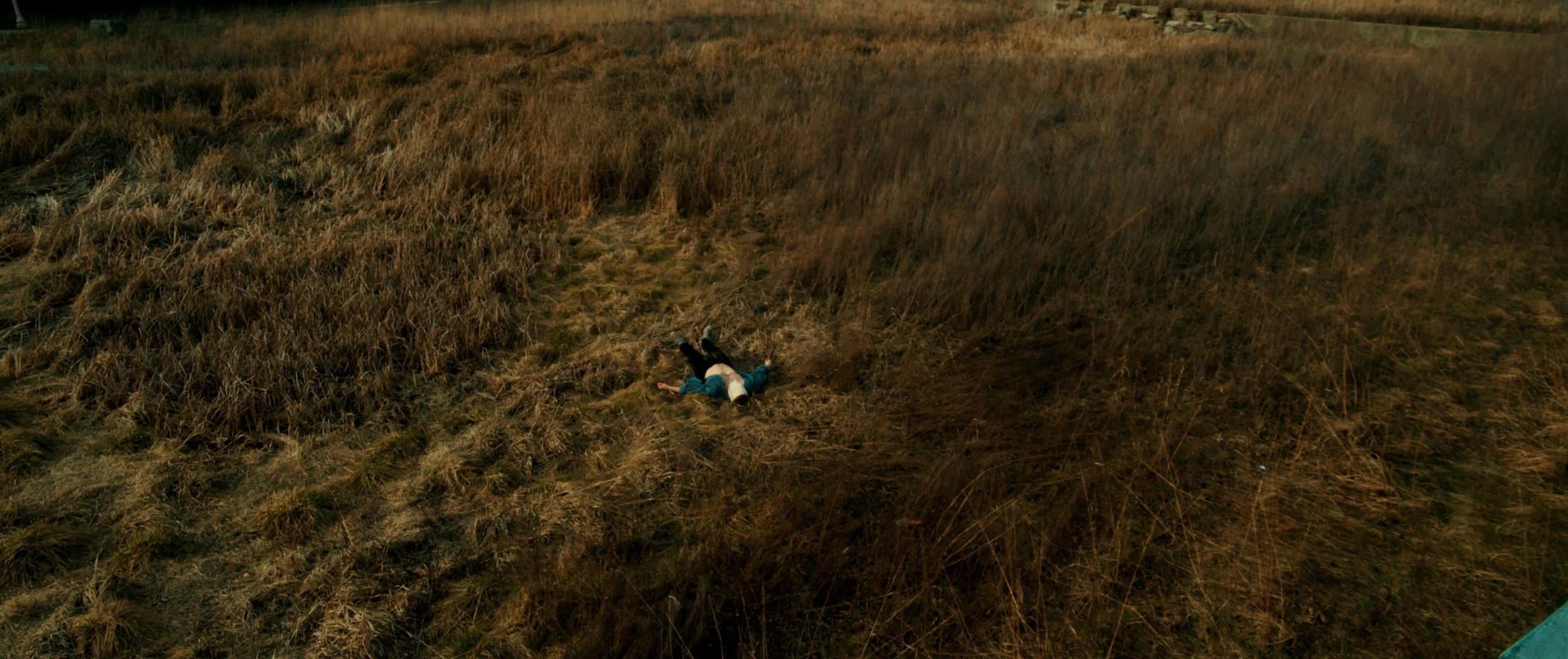 Studio+Supercut.00_19_26_04.Still045.jpg