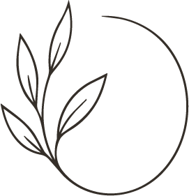 Simple line drawing of a sprig with leaves inside a partial circle