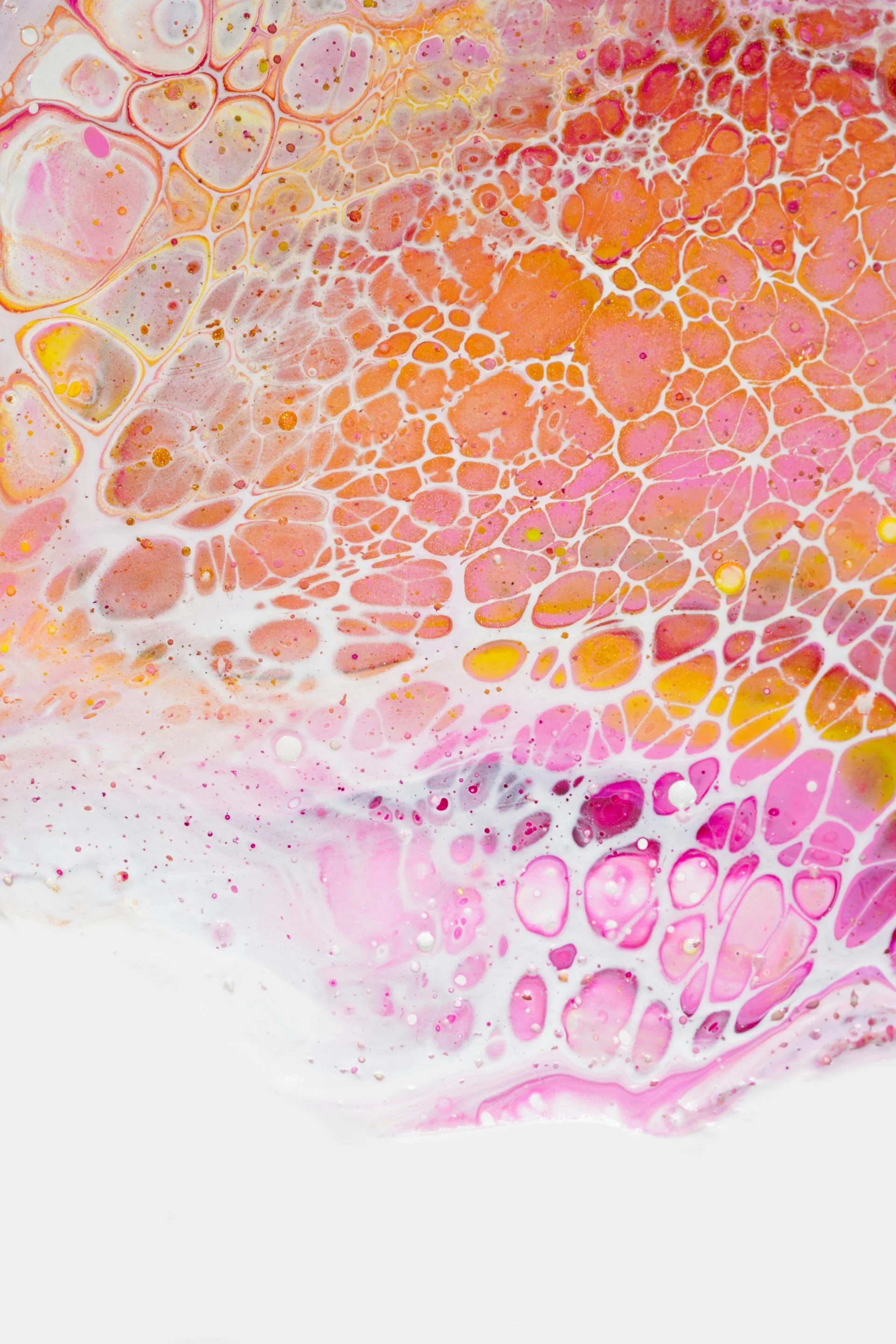 Small Steps Create Big Shifts: Supporting Your Fertility Physiology