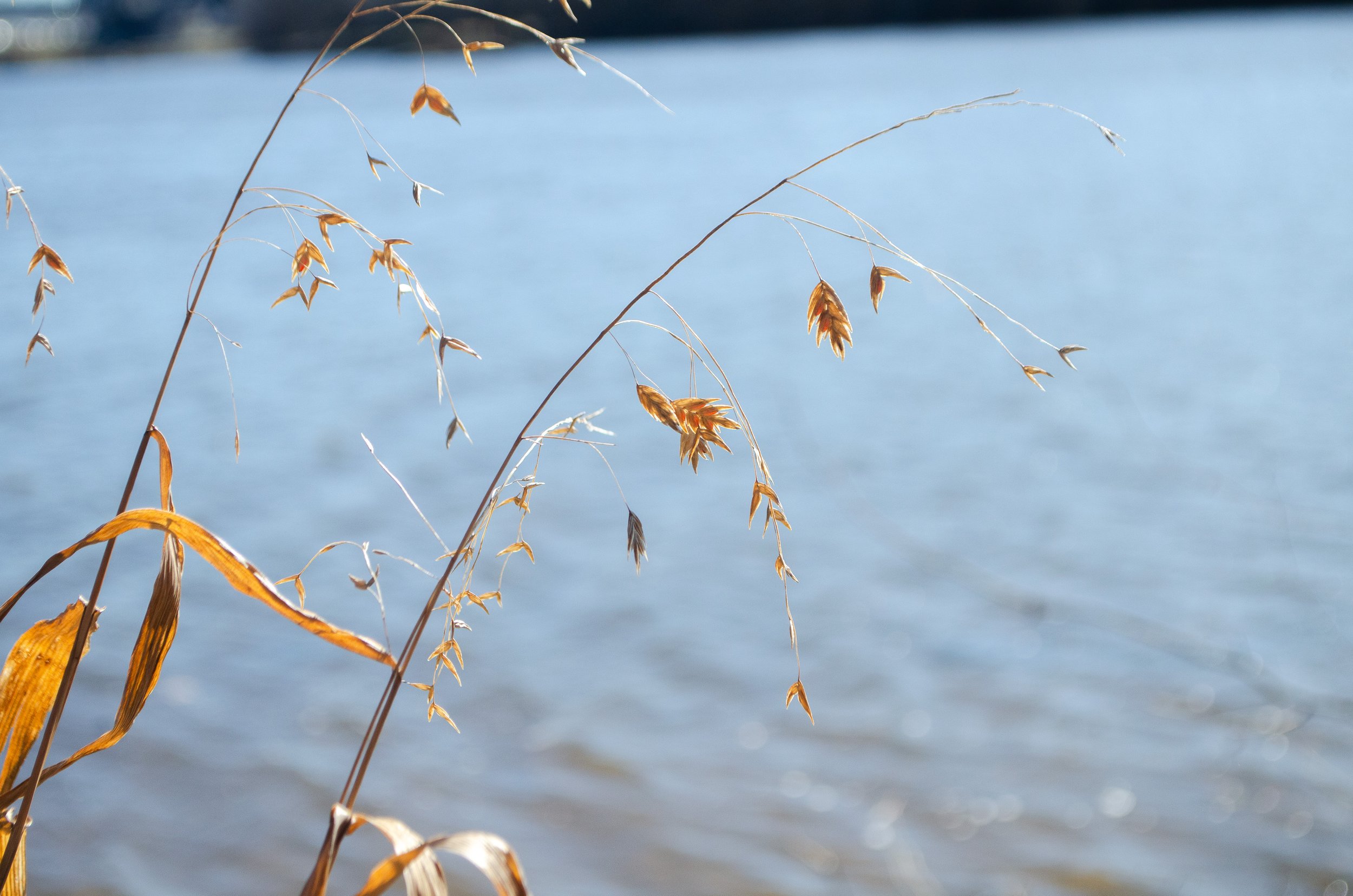 ten of swords / three of cups