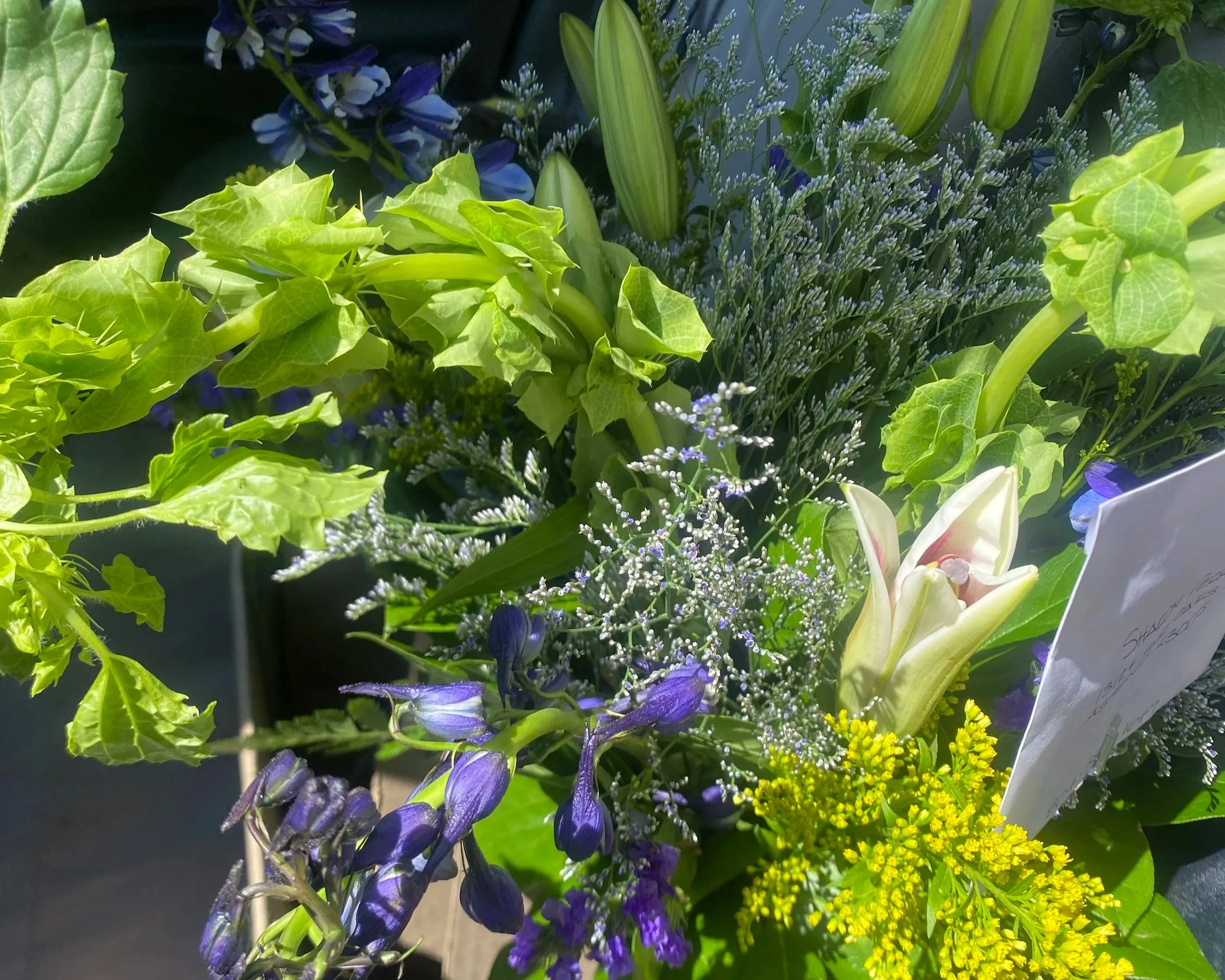 logistics of petals and stems