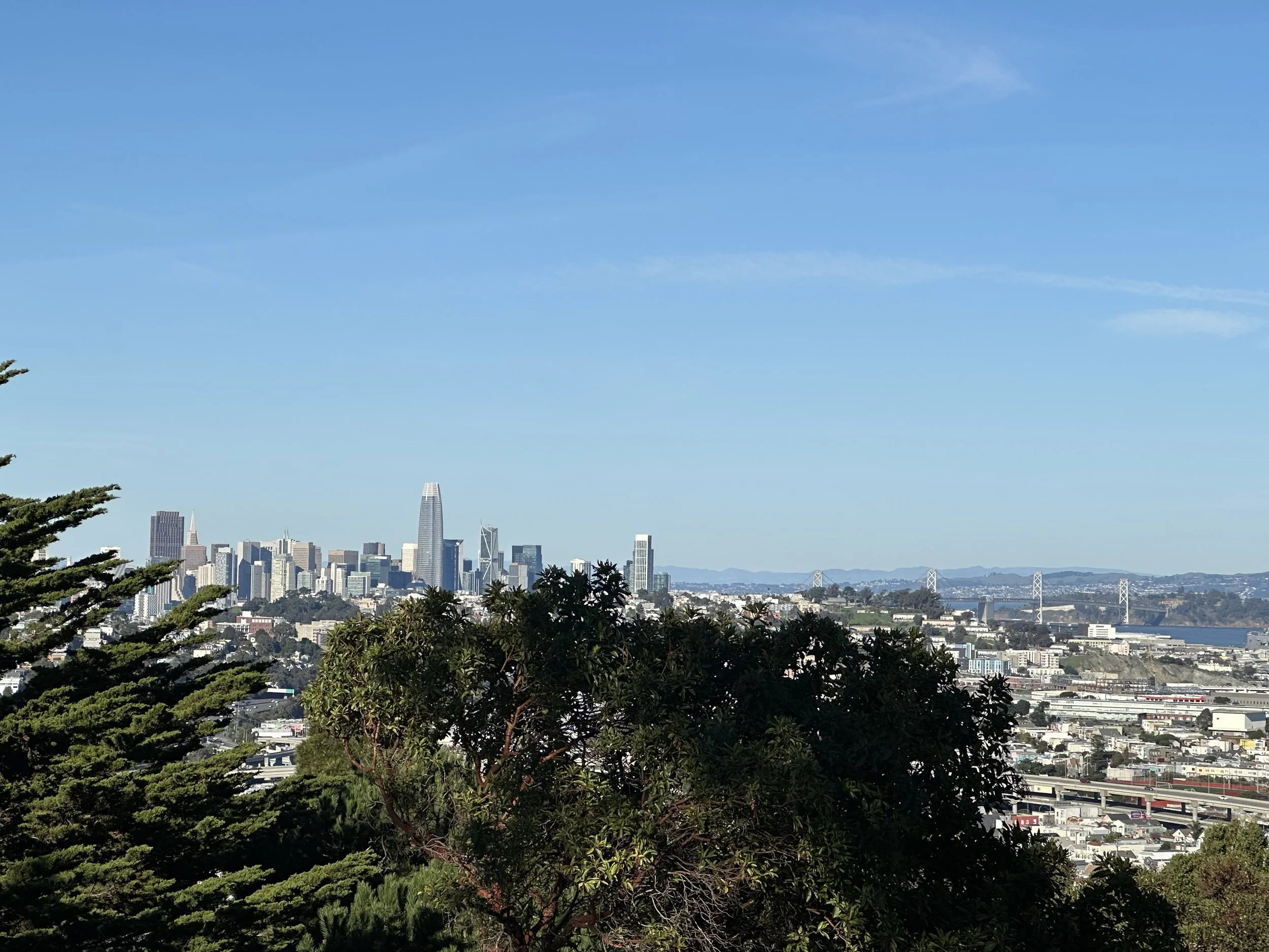 Panoramic view of a city skyline with tall buildings, trees in the foreground, and a bridge in the distance under a clear blue sky.