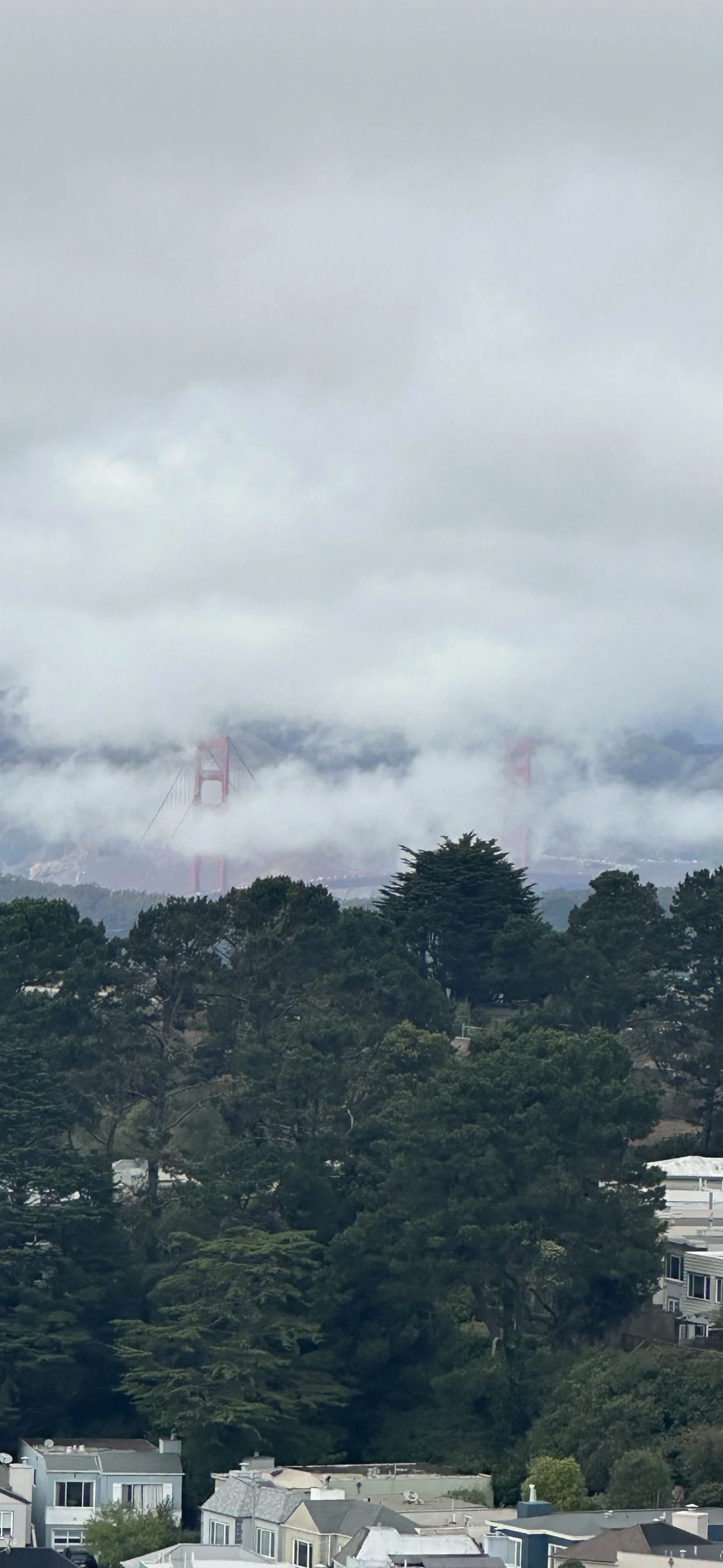Overcast sky with clouds partially obscuring the Golden Gate Bridge in San Francisco, California, framed by trees and residential buildings in the foreground.