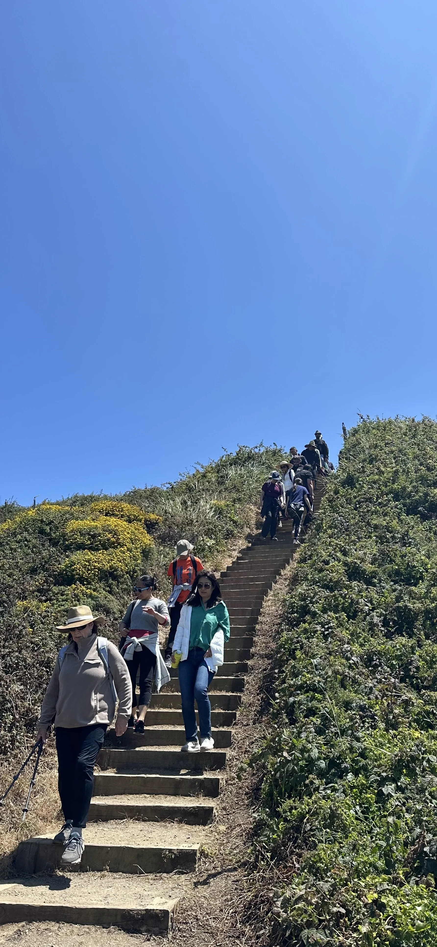 Group of hikers walking down a trail with stairs on a sunny day, surrounded by green bushes and a clear blue sky.