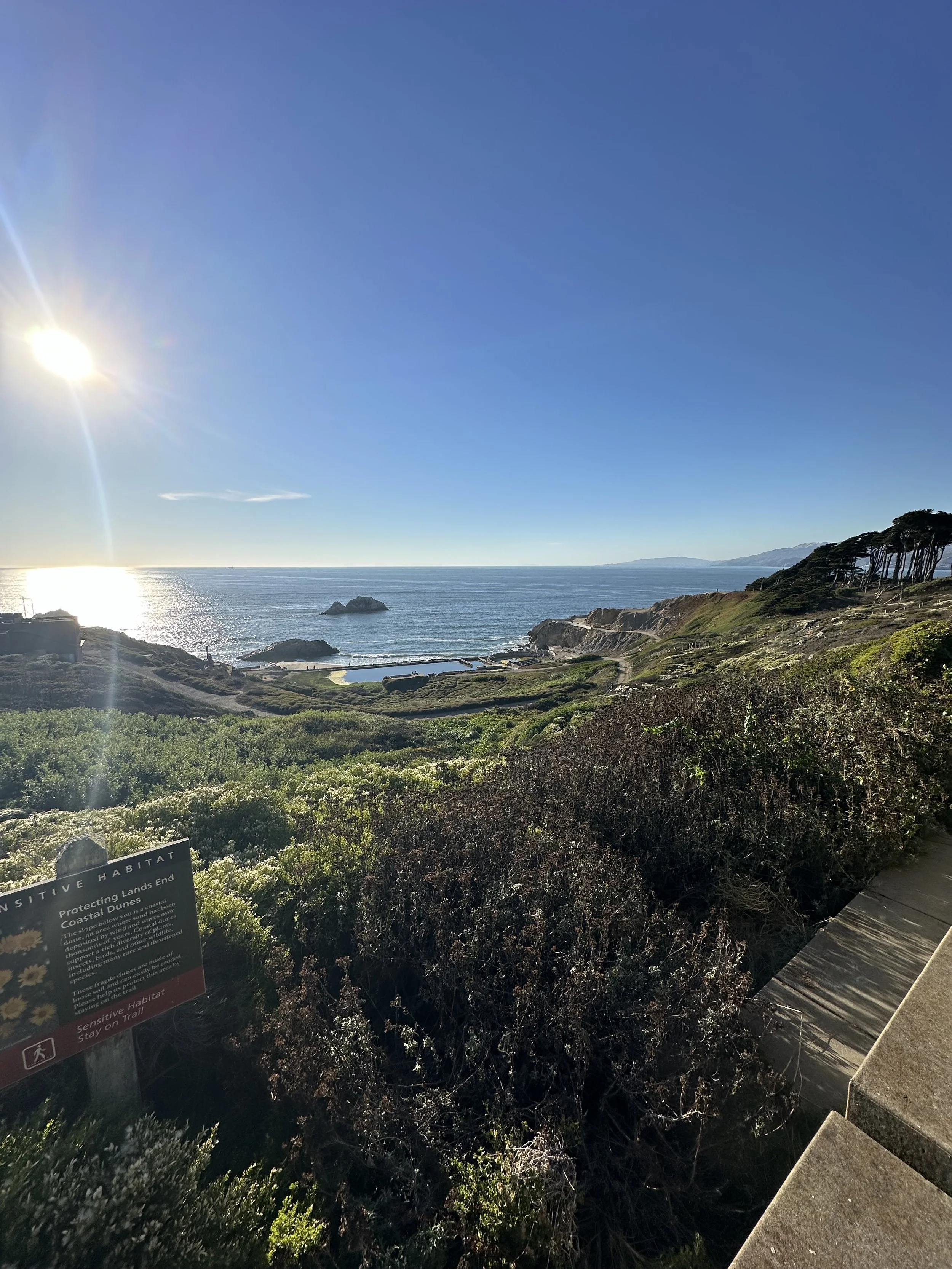 Scenic coastal landscape with the ocean, rocky shoreline, and green vegetation under a clear blue sky with the sun shining brightly.