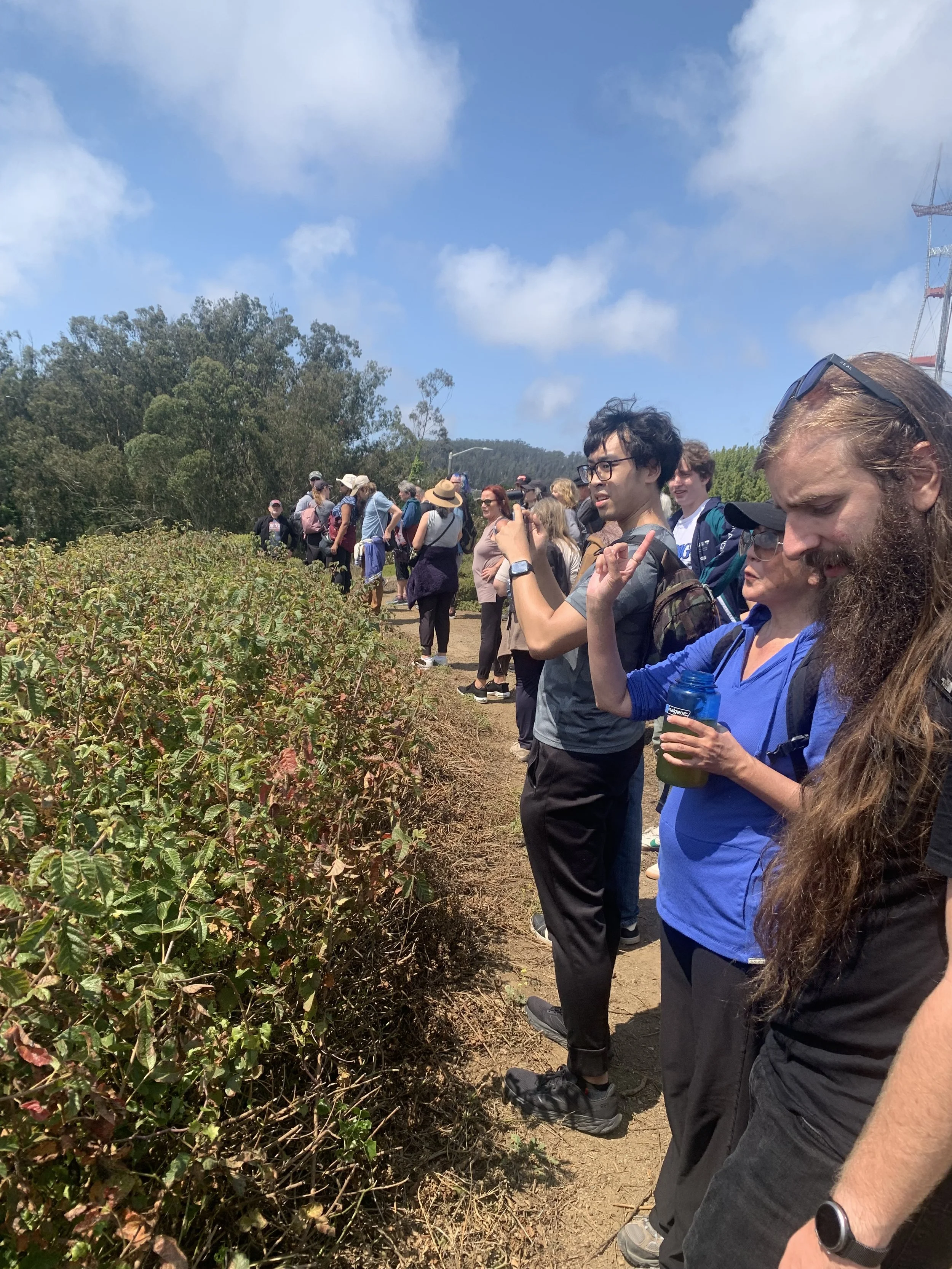 Group of people outdoors on a sunny day, standing in a line along a dirt path next to bushes, with trees and a transmission tower in the background.