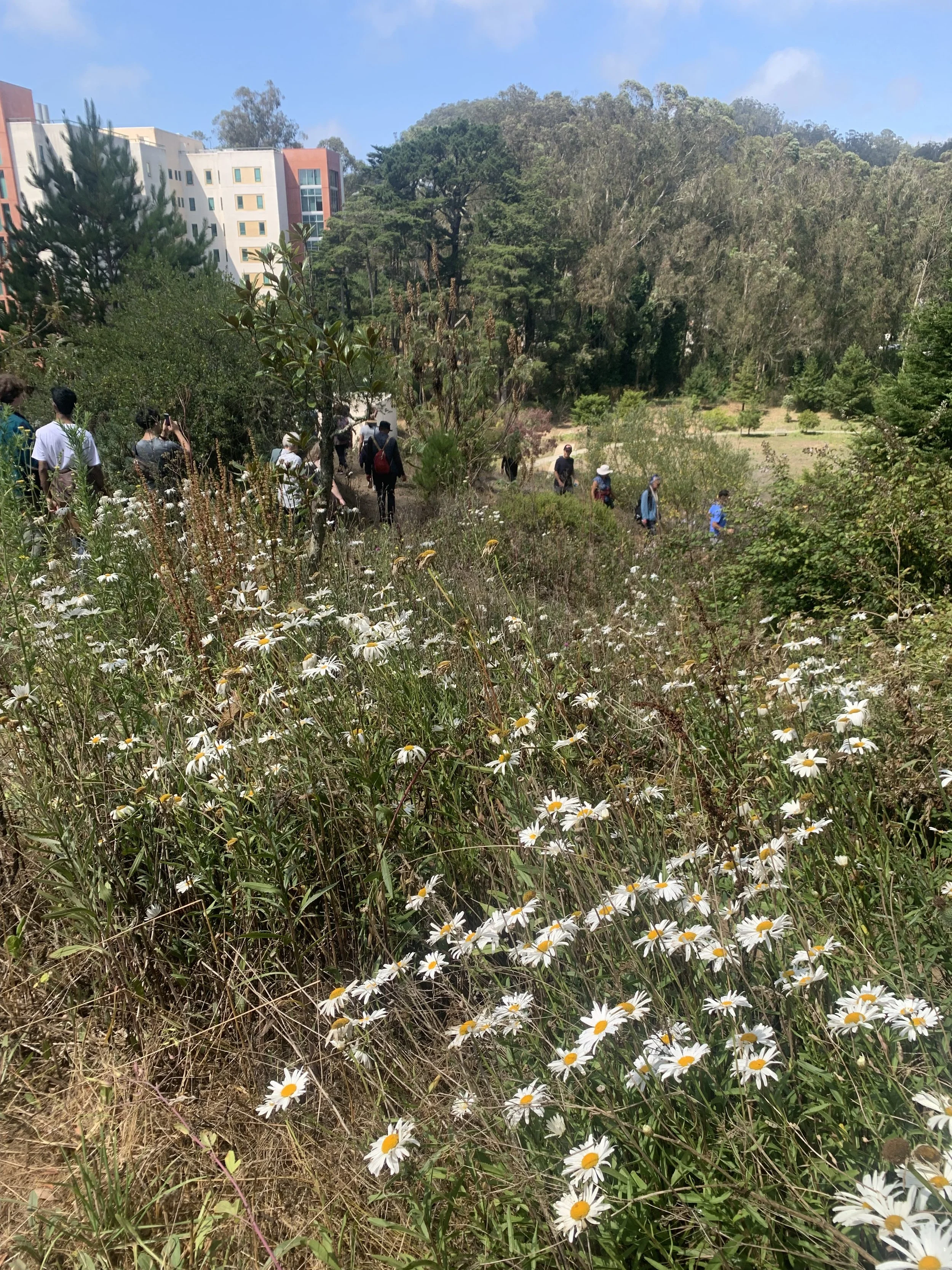 People walking along a trail through a natural area with wildflowers and trees, with buildings visible in the background.