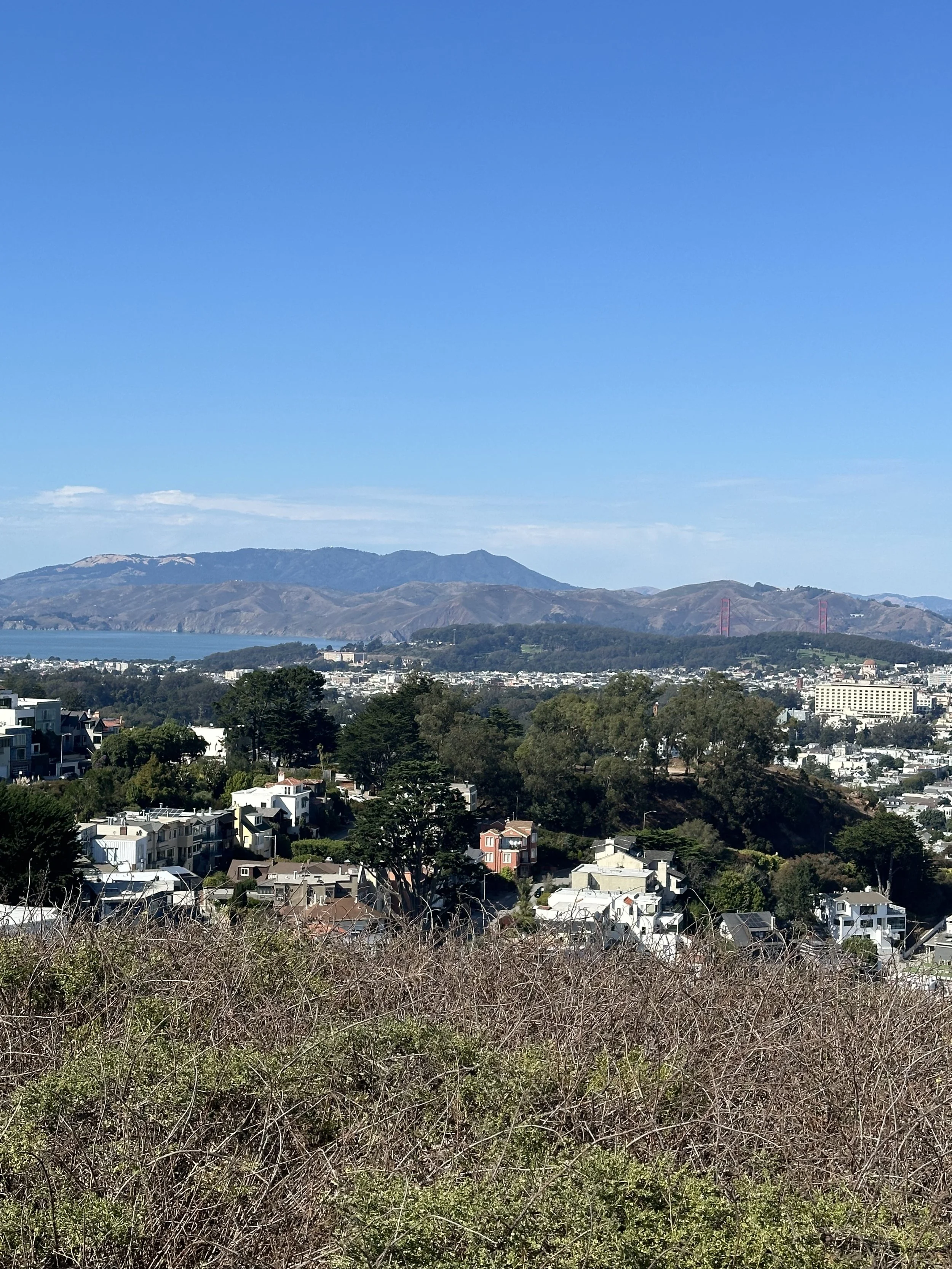 A scenic landscape view of a city with houses, trees, and hills in the background, under a clear blue sky.