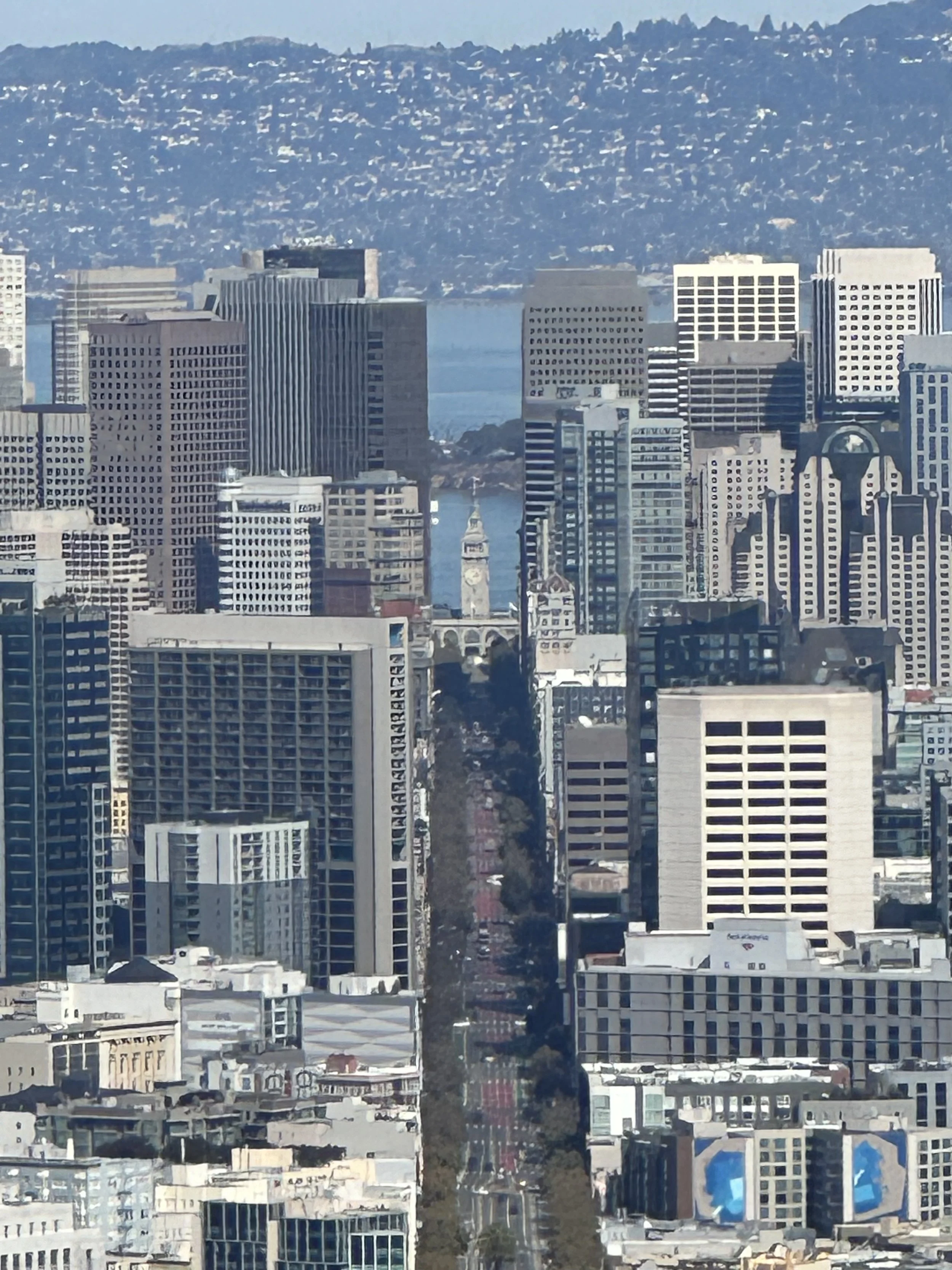 A city skyline with tall skyscrapers, a street with trees, and a body of water with hills in the background.