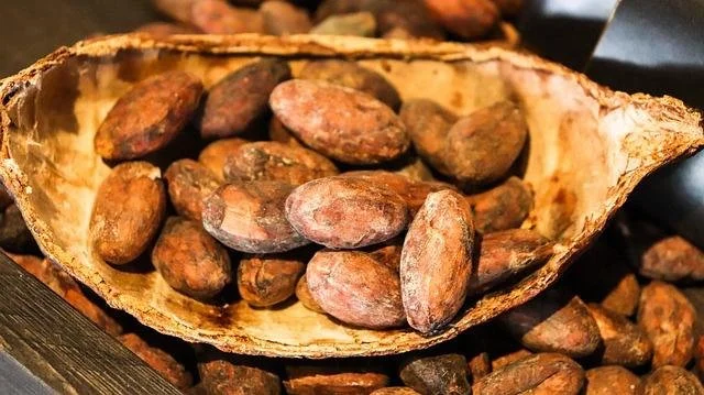 Cerchio di Cacao Cerimoniale