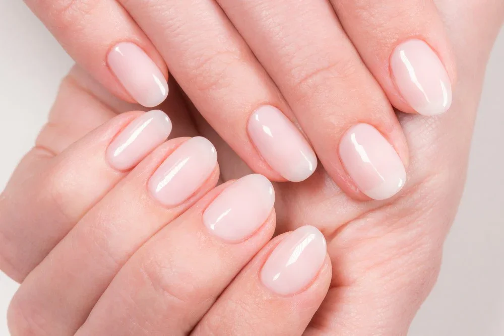 Close-up of well-manicured hands with natural, shiny, pale pink nails.