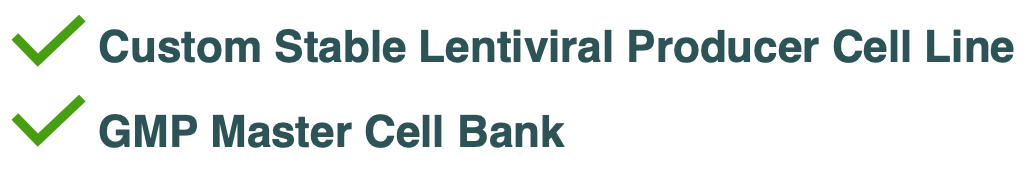 Text detailing what is included with VPI program #2 - Custom Stable Lentiviral Producer Cell Line & GMP Master Cell Bank