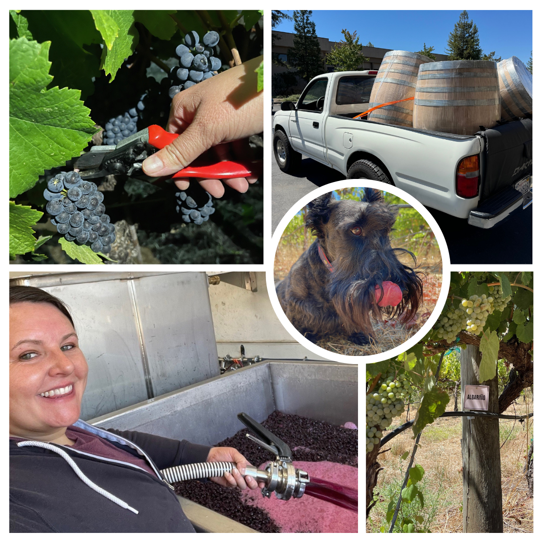 The Oxlee Graham Wines Fall 2024 Newsletter
