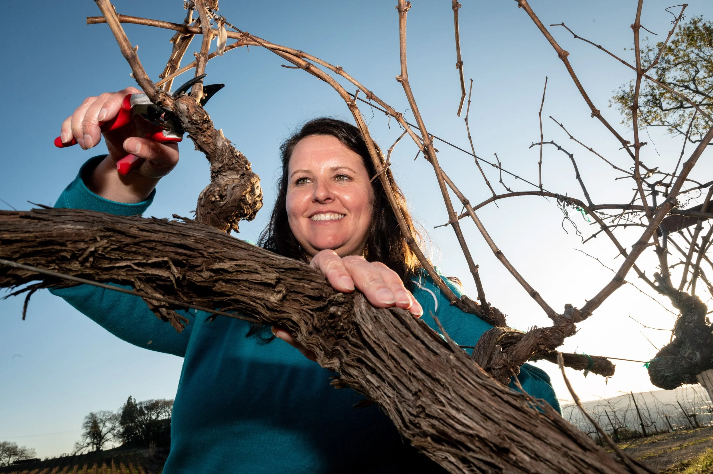 The Oxlee Graham Wines Spring 2025 Newsletter