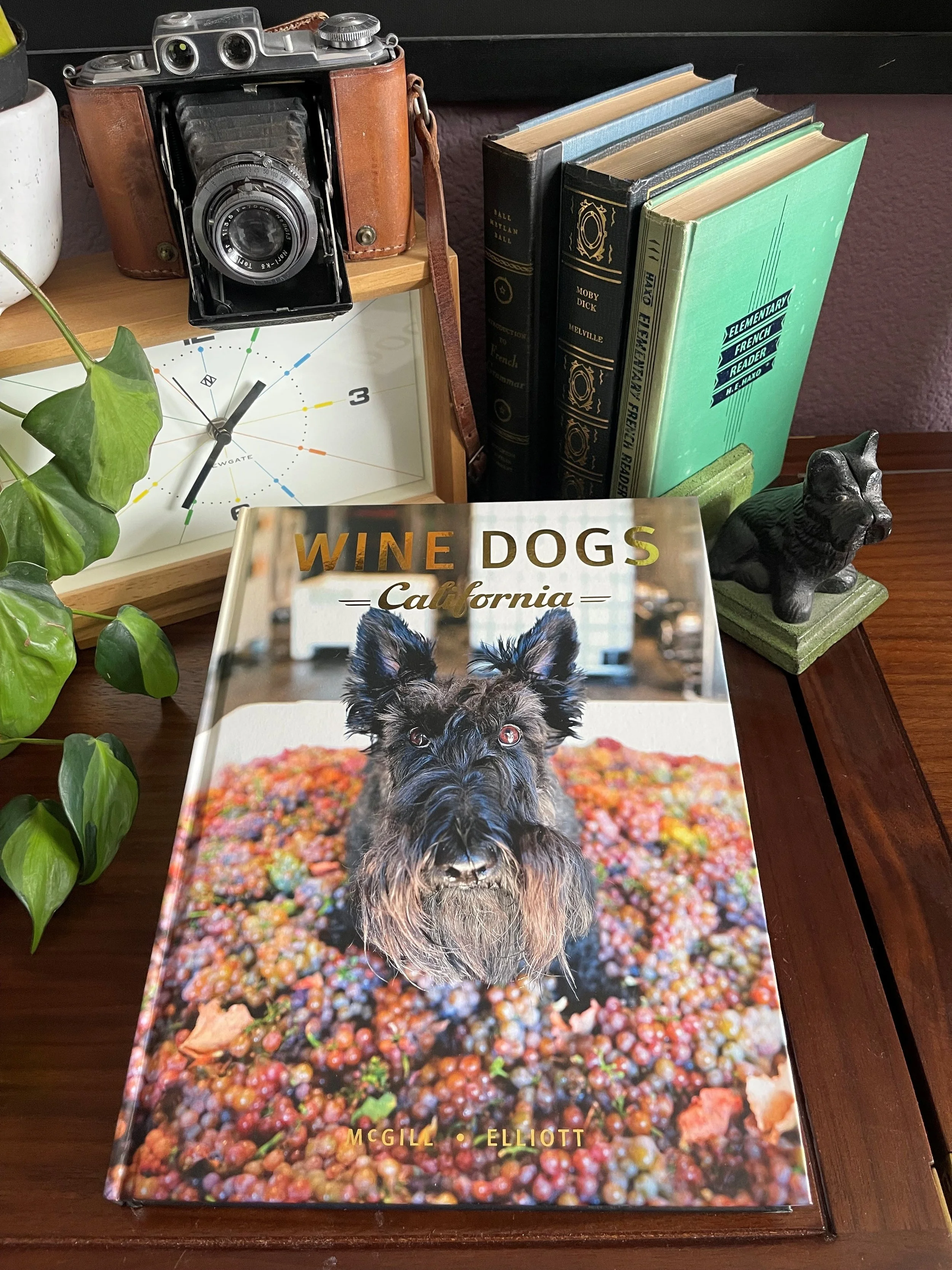 The Oxlee Graham Wines Fall 2025 Newsletter