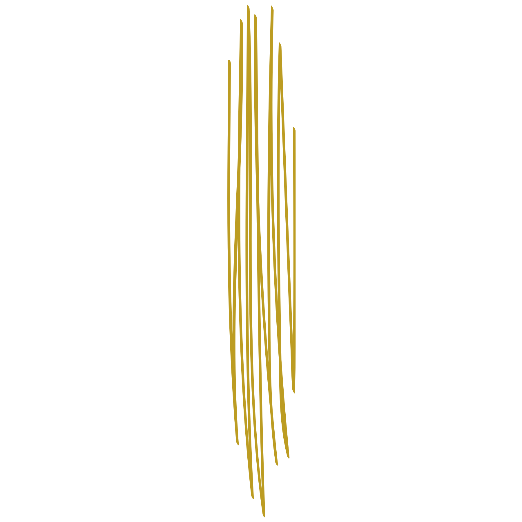 Gold Etching ties to our label
