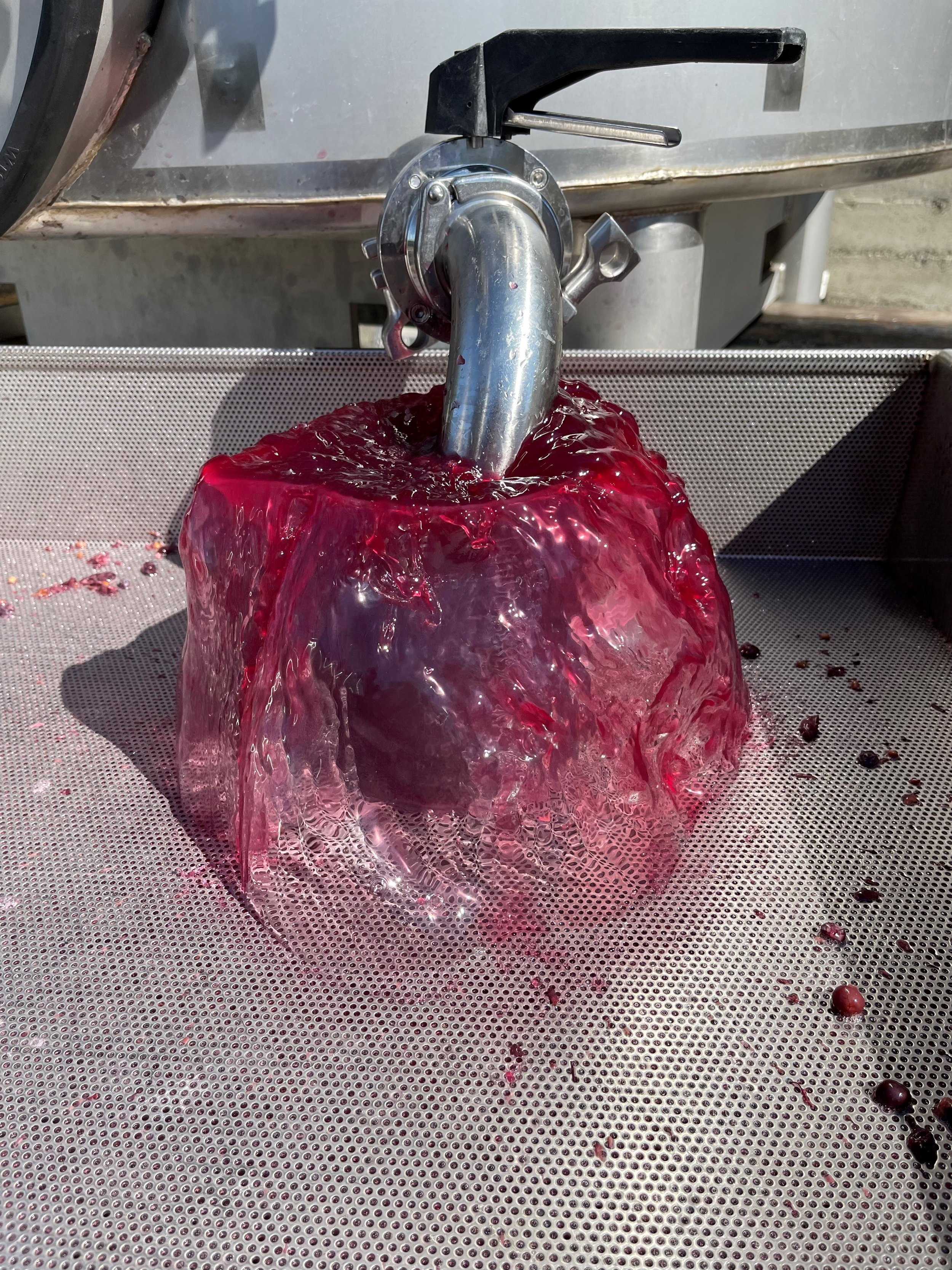 Alder Springs Pinot Noir getting some air after fermentation