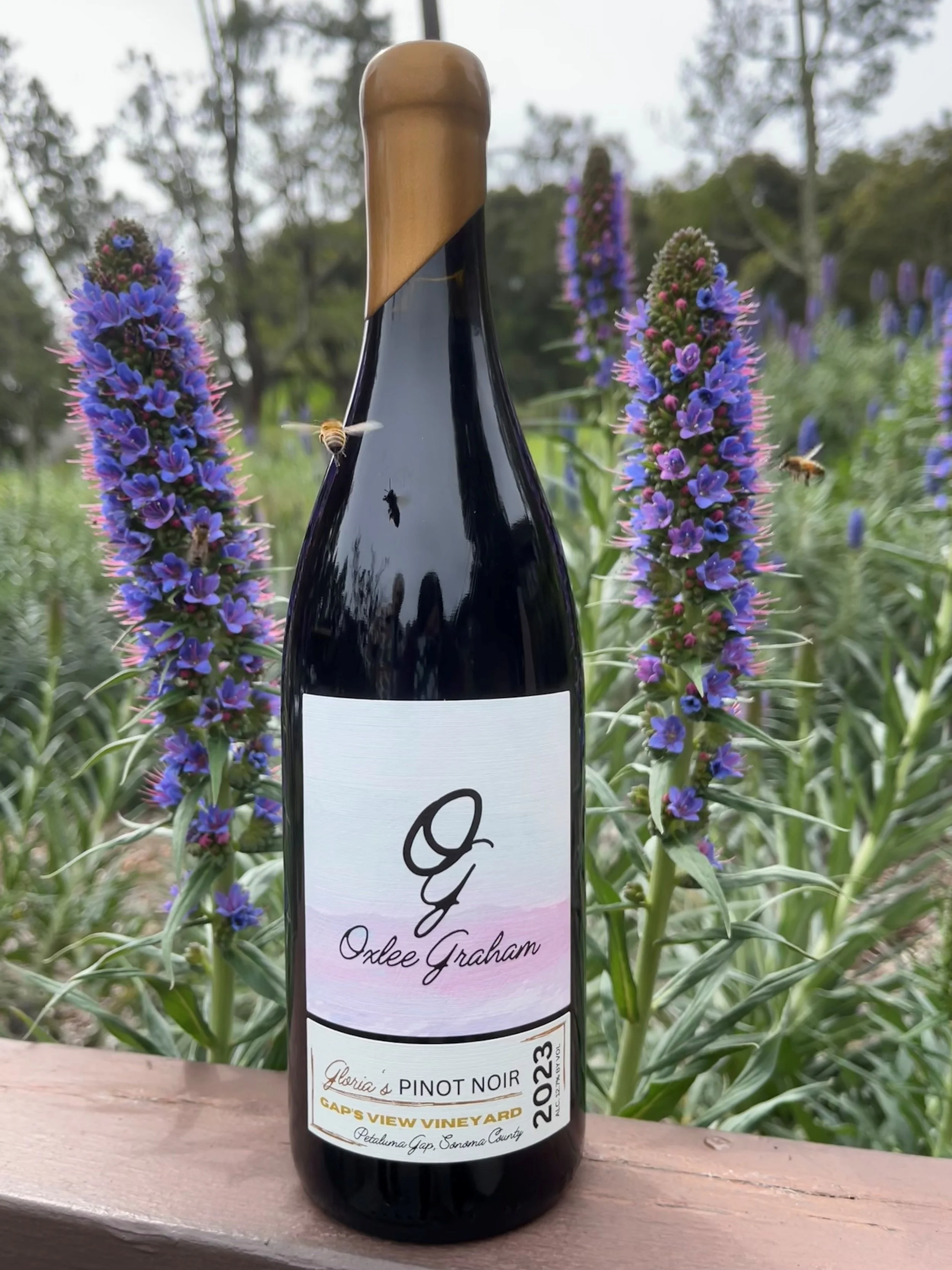 2023 Gloria's Gap's View Vineyard Pinot Noir by Oxlee Graham
