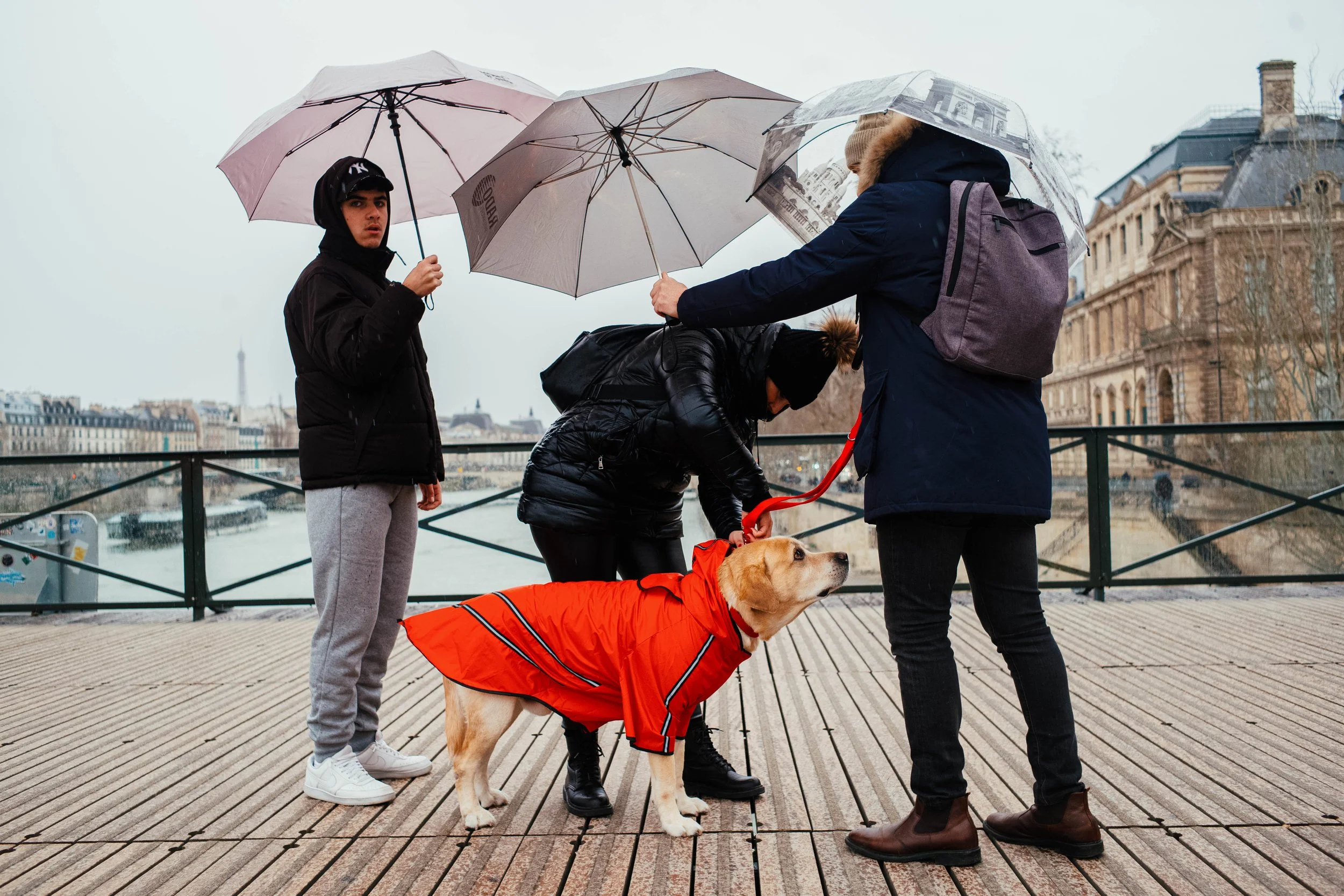 Personas con paraguas en un puente en París, una con un perro con abrigo rojo