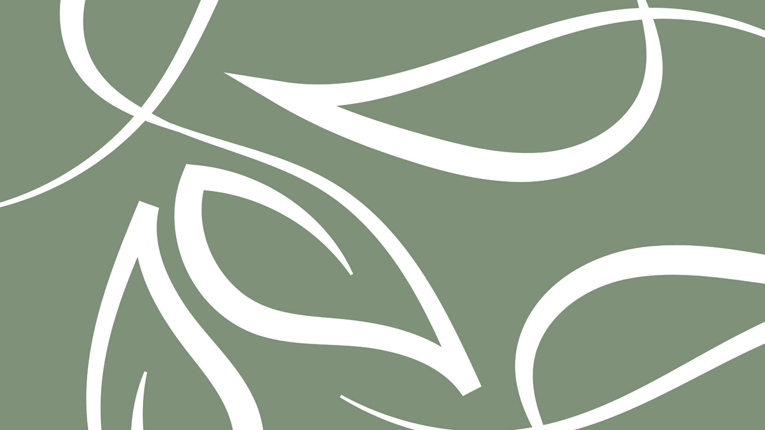 Abstract pattern with white curved lines on a muted green background.