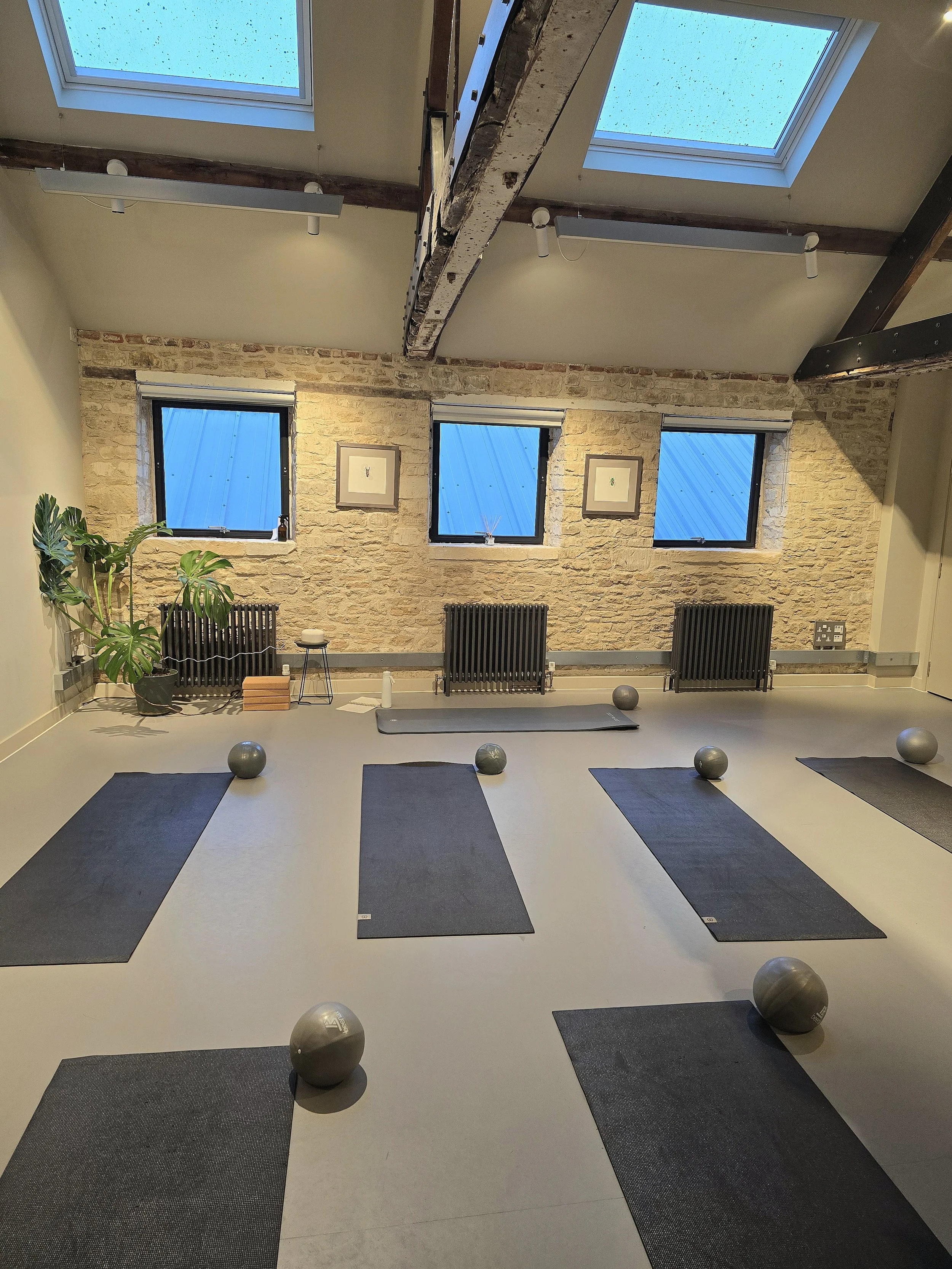 A yoga or fitness studio with black mats and gray exercise balls on a light-colored floor, three windows on a brick wall, skylights on the ceiling, and a green plant on the left side.