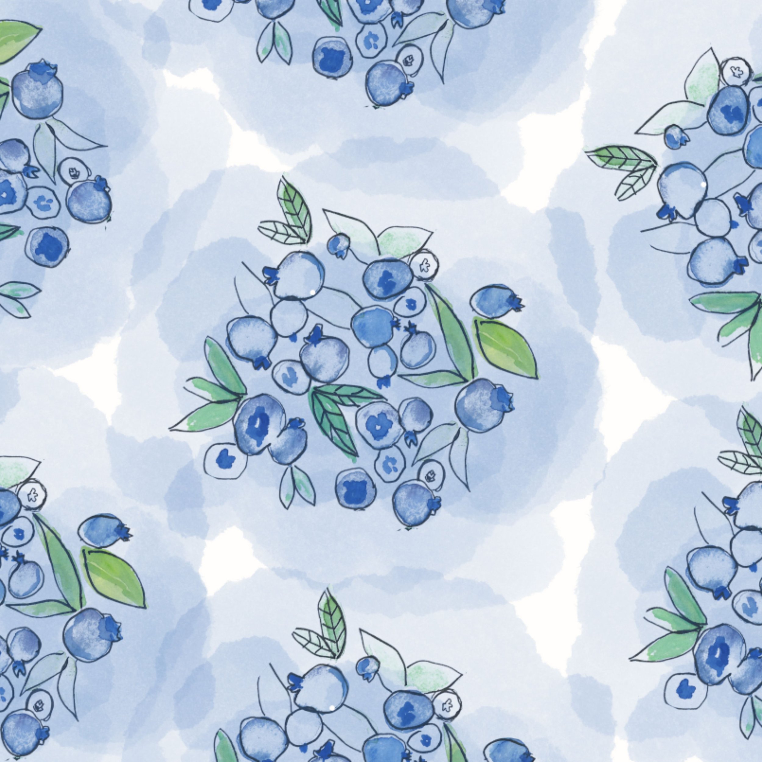 Berry blue berry stripe.jpg