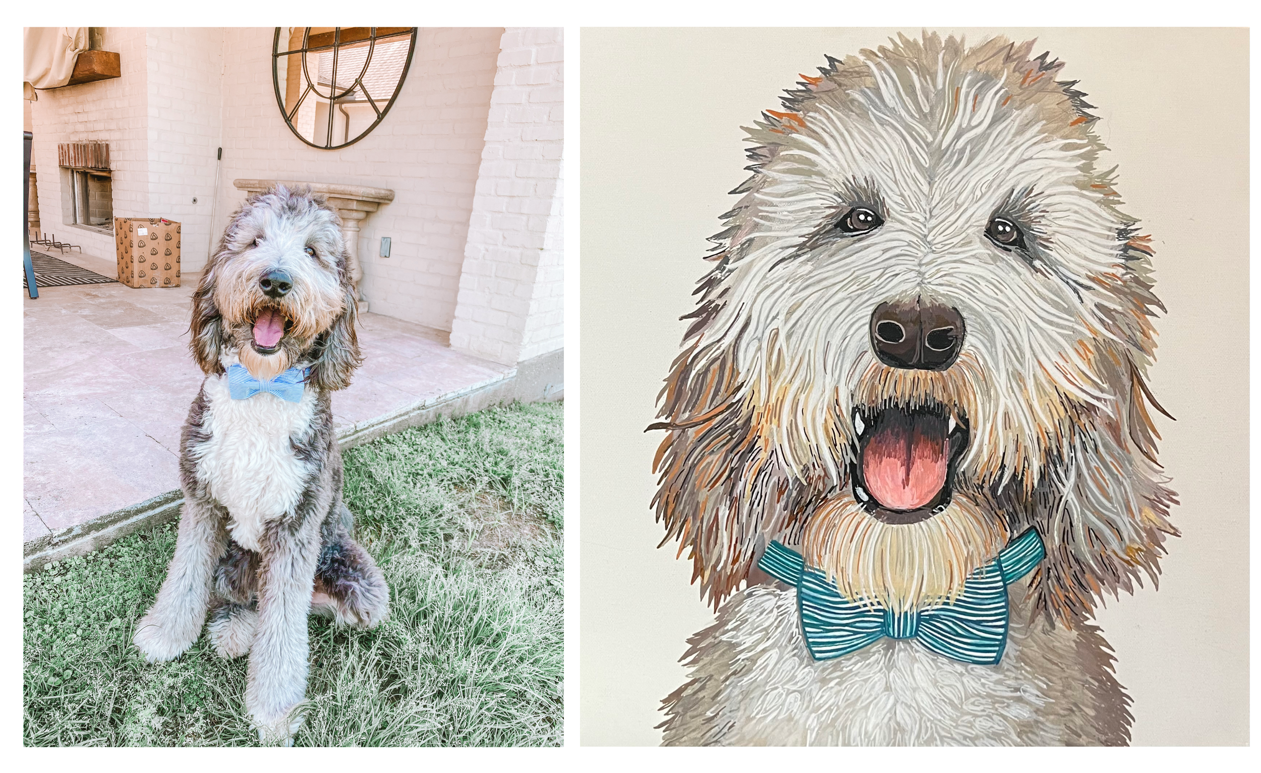 Custom Pet Portrait