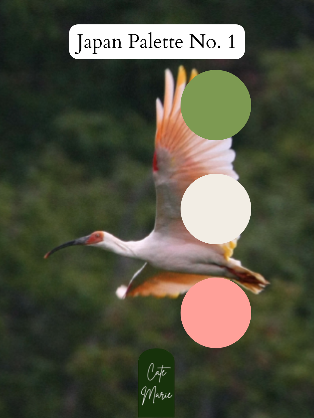 27.png