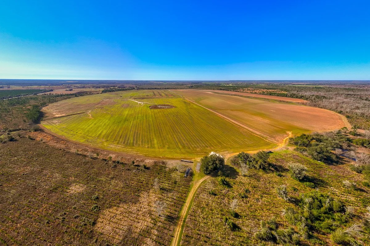 Aerial view of farmland with green and brown fields, some trees, and a clear blue sky in the background.