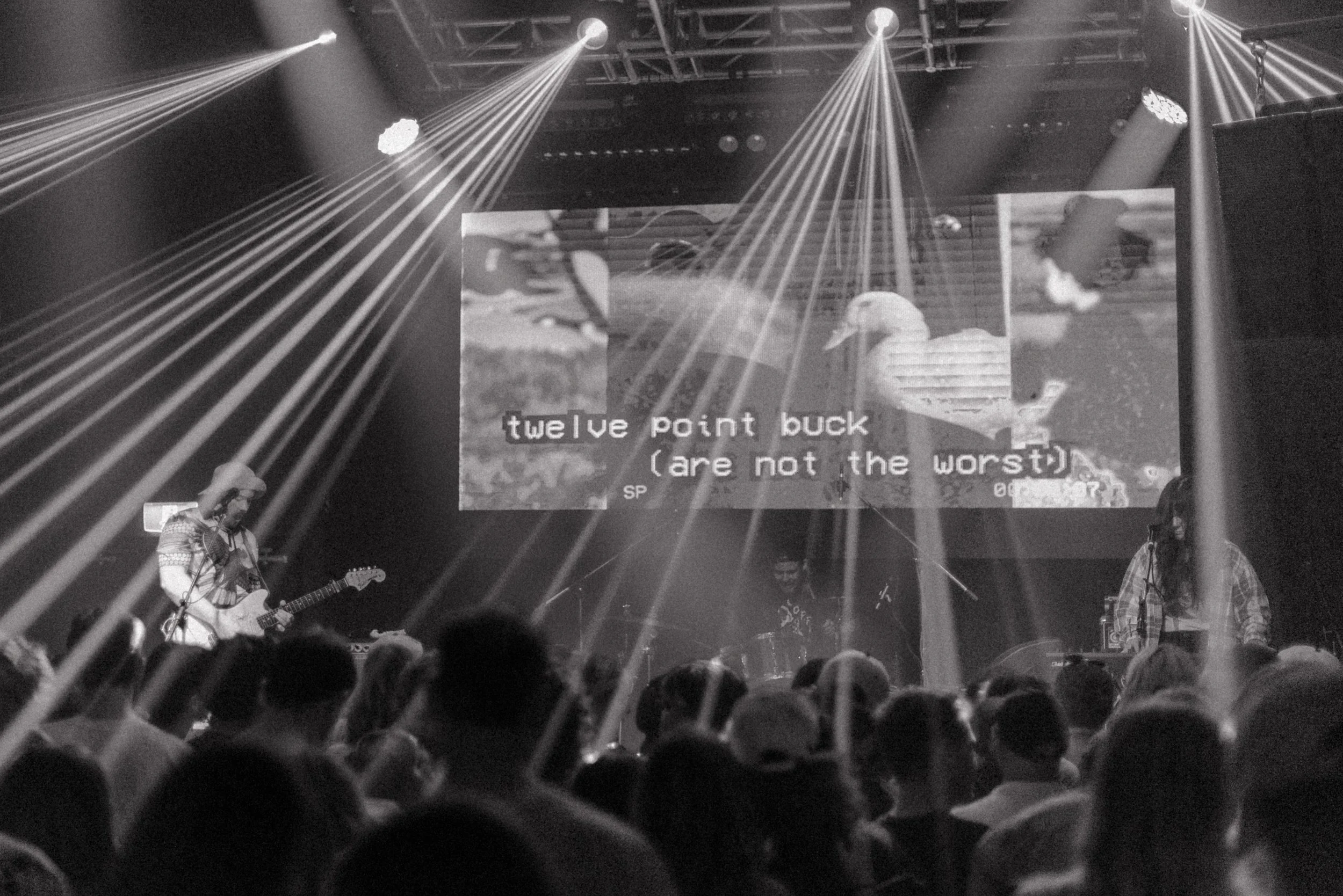 A live concert with band playing on stage, bright spotlight beams, and a large screen displaying the text 'twelve point buck (are not the worst)' and images of a duck and a dog amidst silhouettes of audience members.