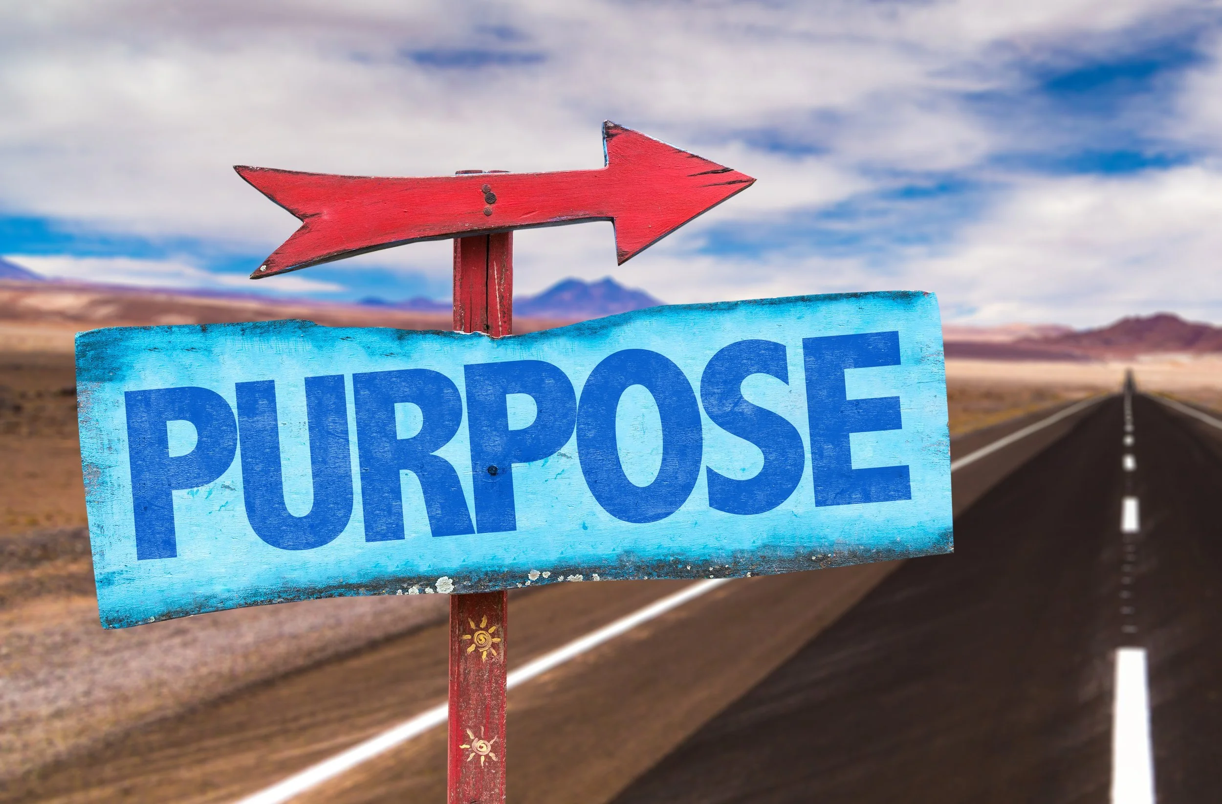 Purpose