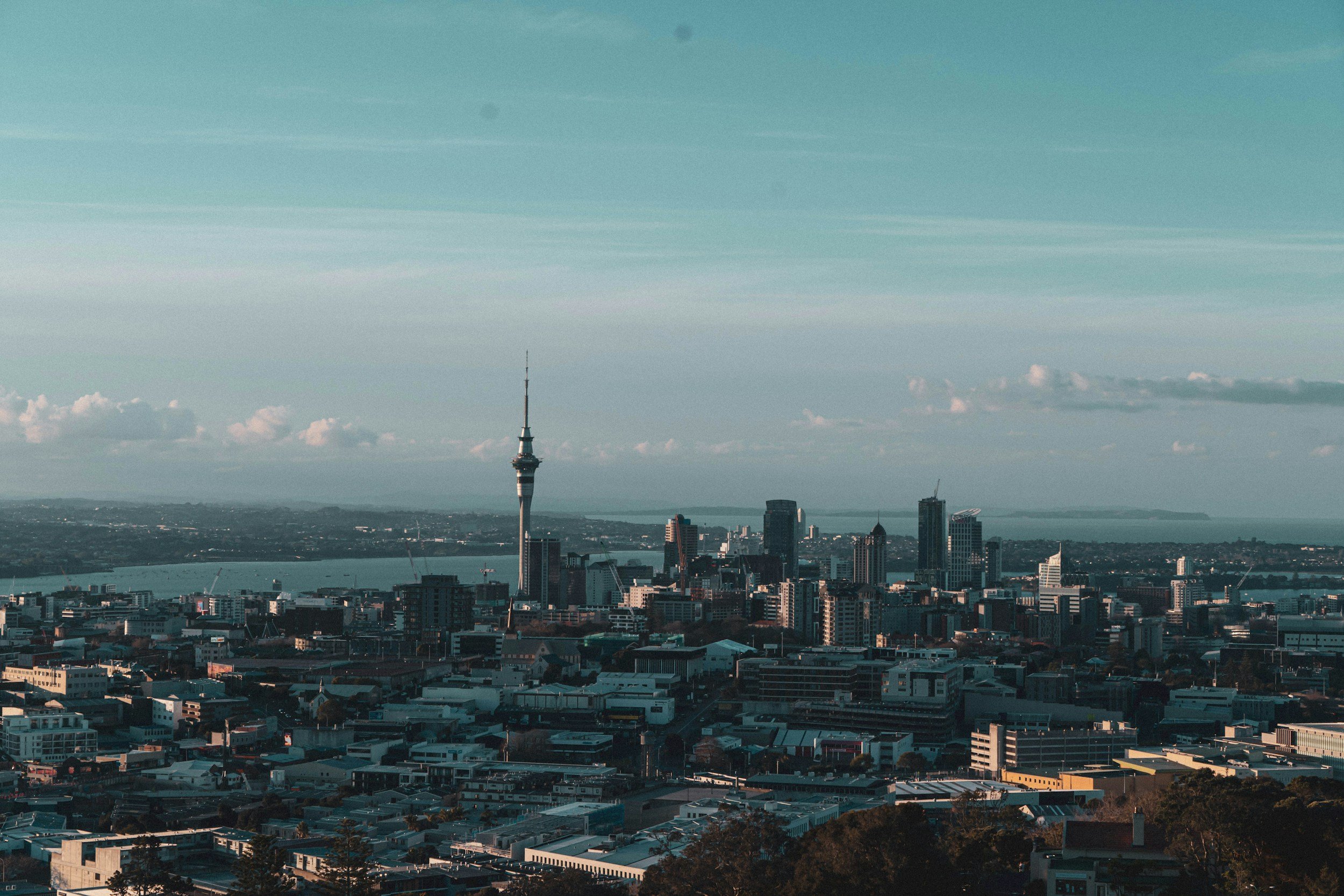 Panoramic view of Auckland city skyline with Sky Tower, tall buildings, and harbor in the background during daytime.