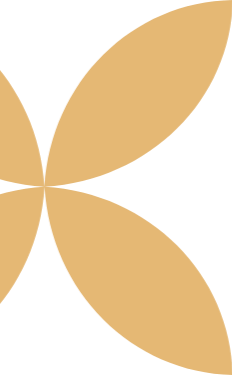 Abstract design with four beige petal-like shapes on a black background.