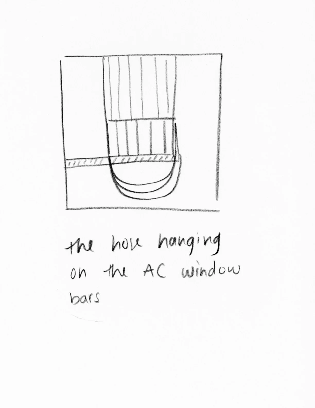 BrooklynPenisDrawings23.jpg