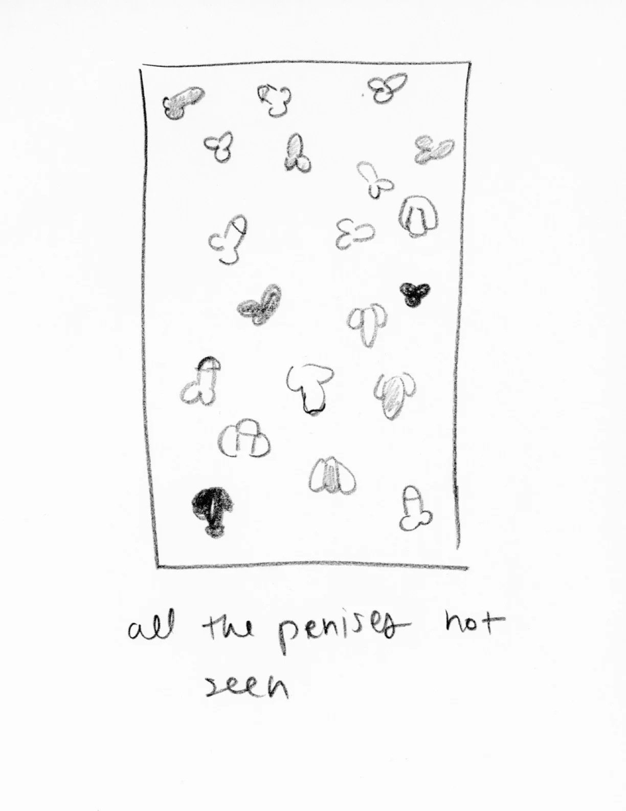 BrooklynPenisDrawings29.jpg