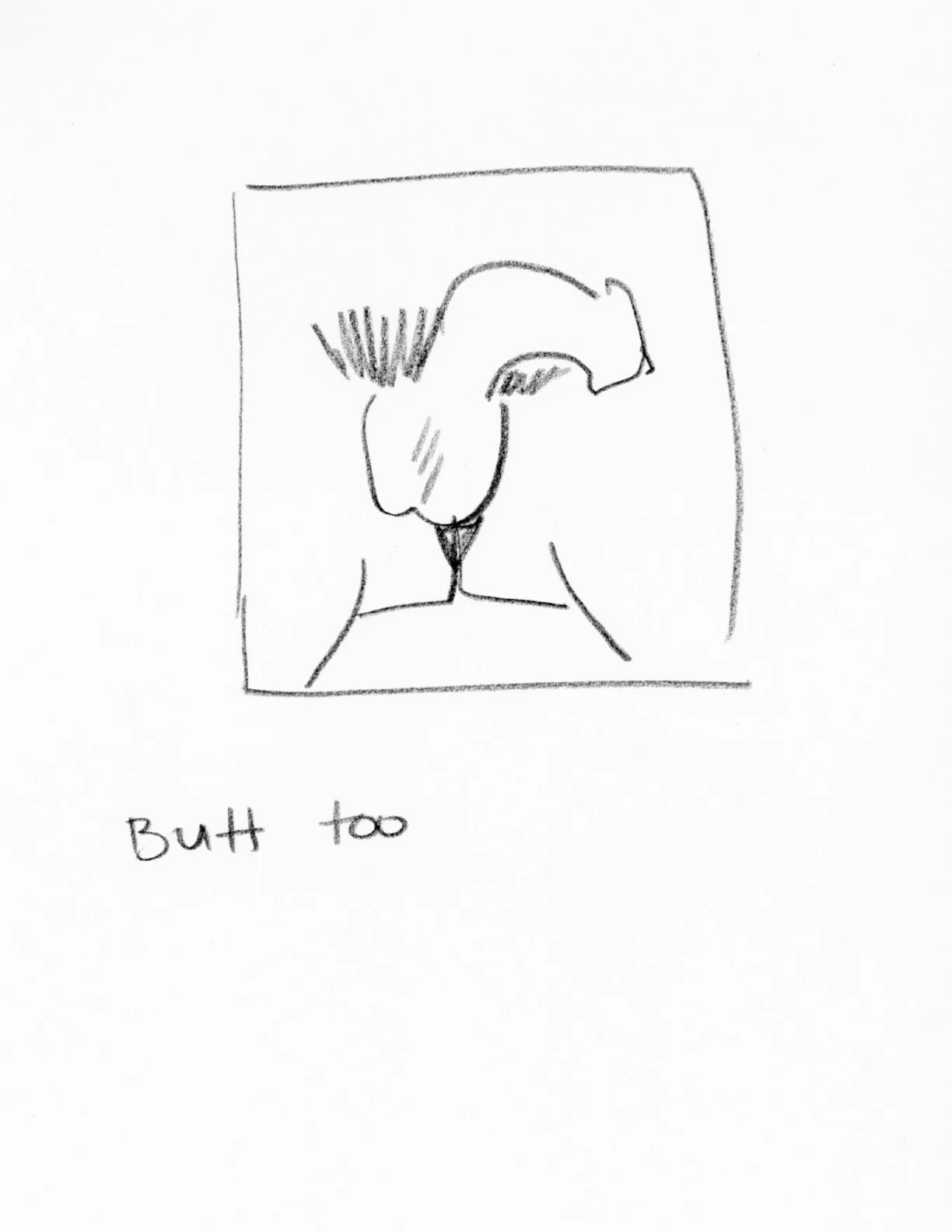 BrooklynPenisDrawings42.jpg