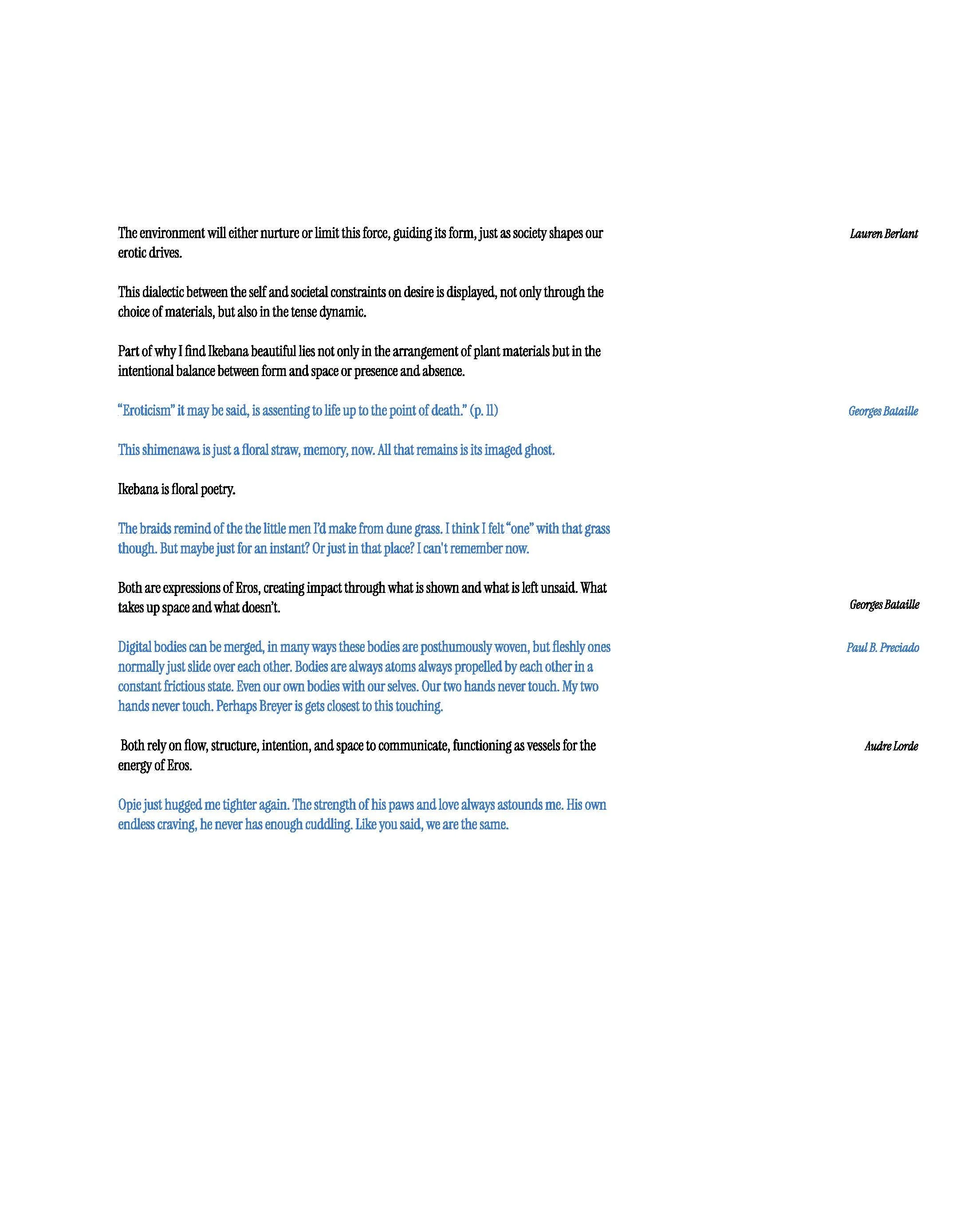 Chimera_Singer_EROS_FINAL_FALL2024 (1)_Page_13.jpg