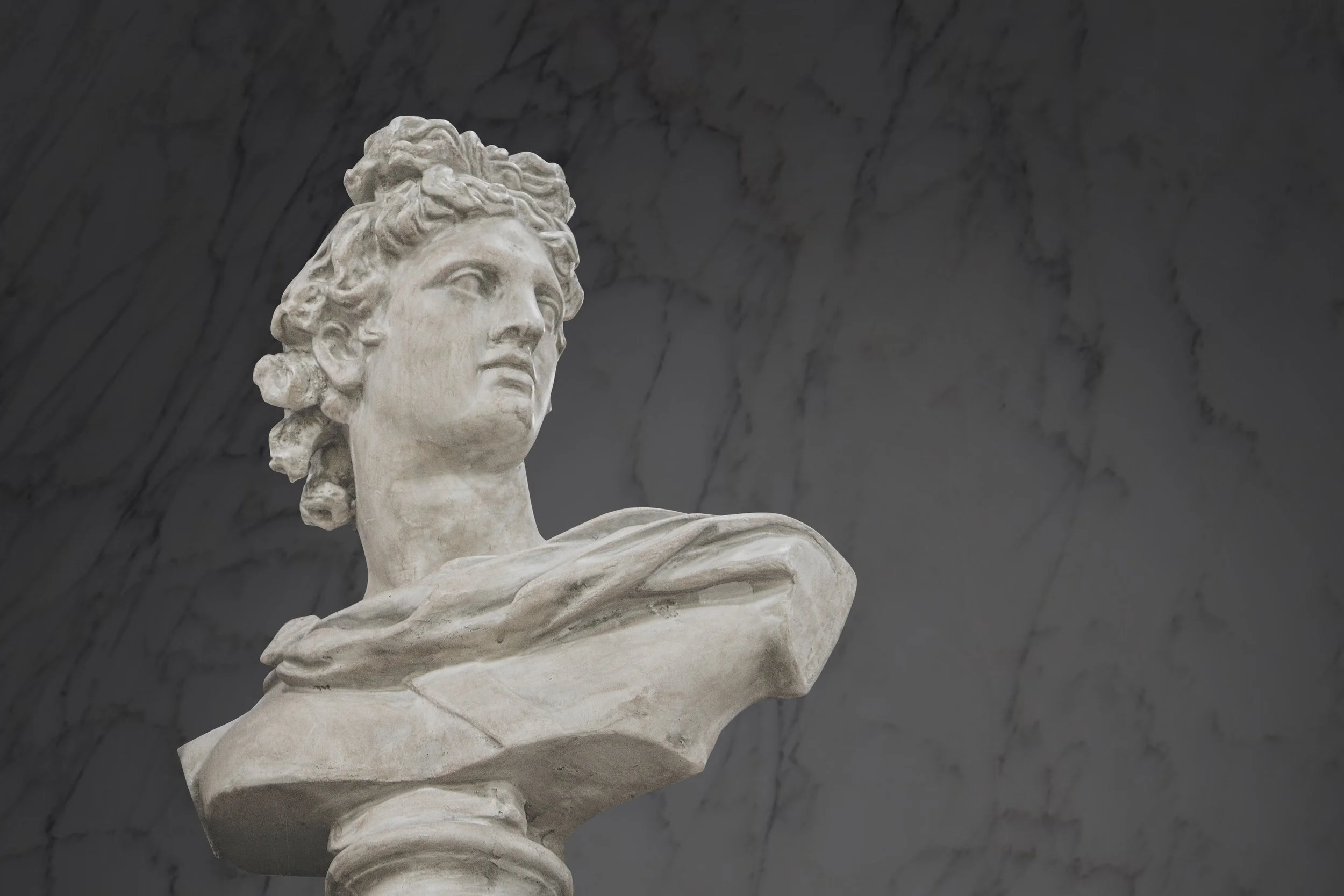 A marble sculpture of a woman's bust with curly hair, set against a dark marble background.