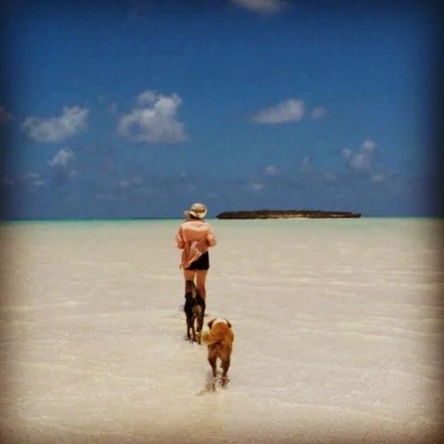 The Dogs of the Island