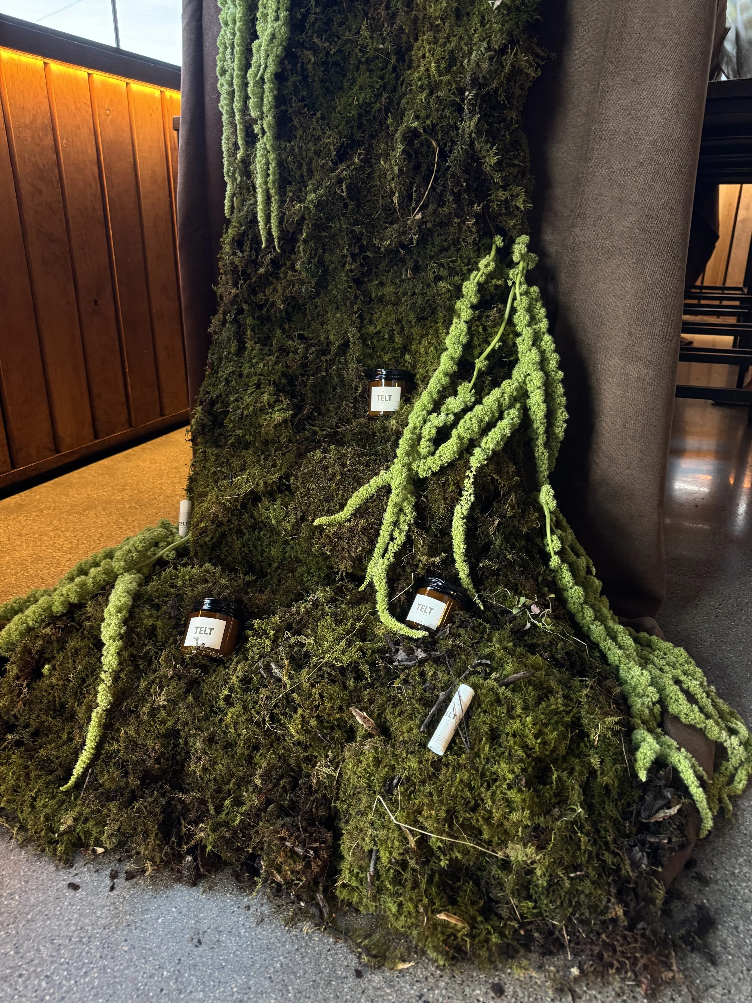 A display of various green mosses and plants arranged on a surface, with some labeled jars of products named 'TELT' placed among the plants. The setting appears to be indoors, with a wooden wall and a window visible in the background.