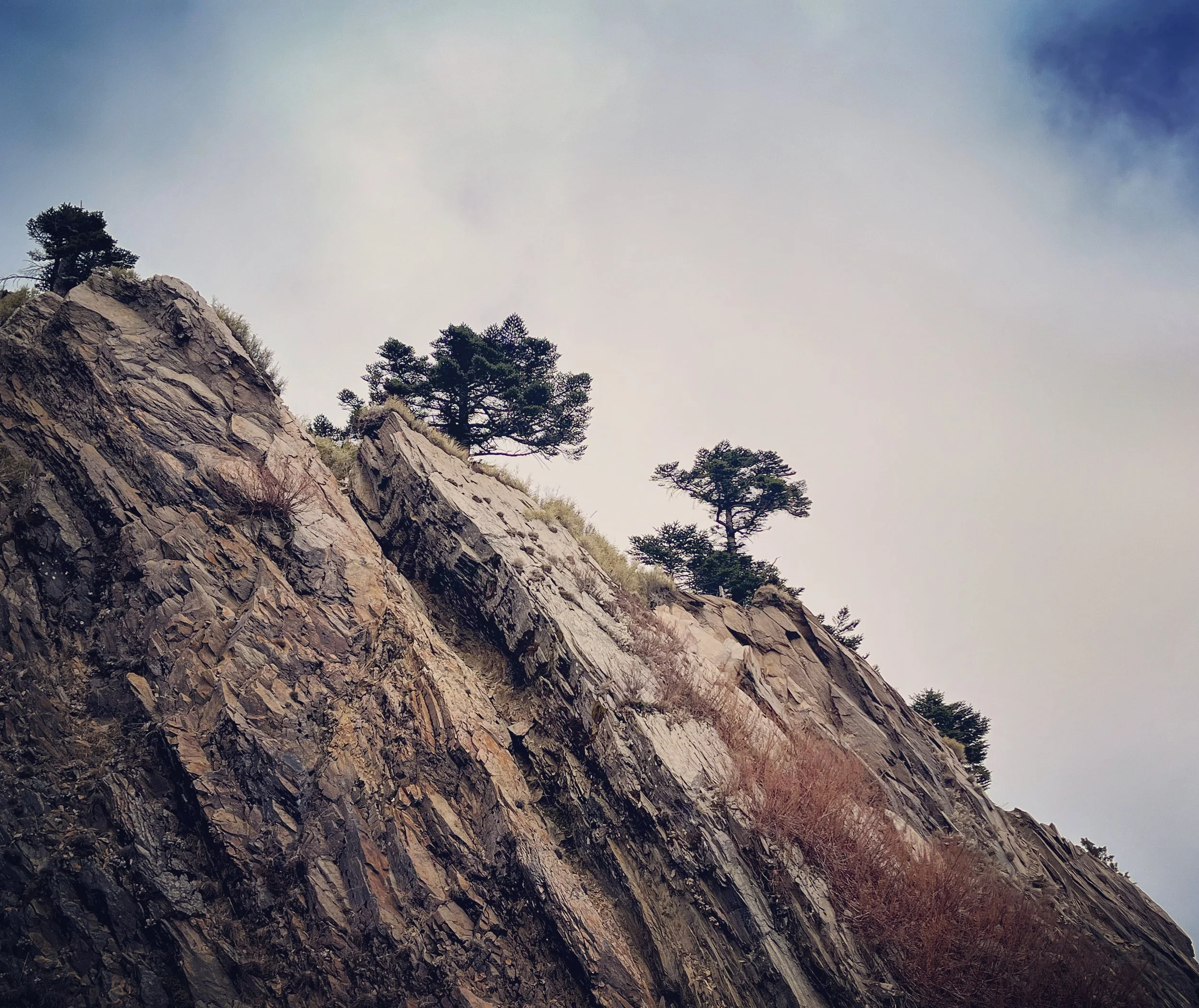 Photo of a rocky mountainside with some trees growing on the slope, under a partly cloudy sky.