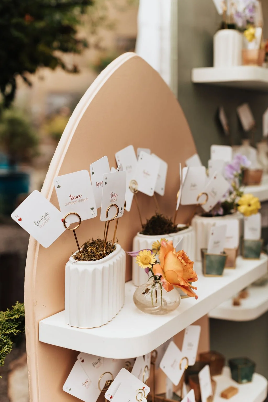 Alicia Lucia Photography