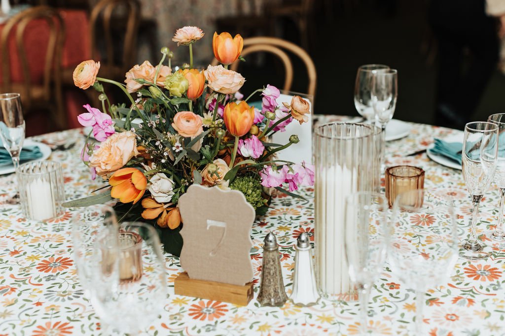 Alicia Lucia Photography