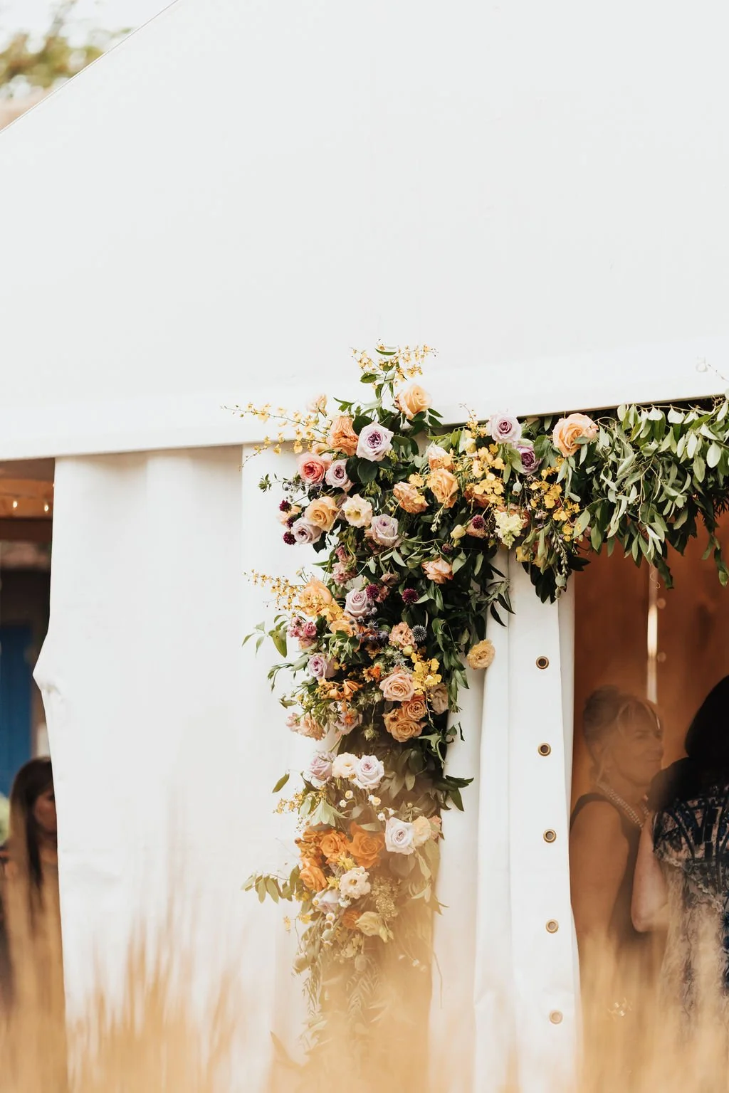 Alicia Lucia Photography